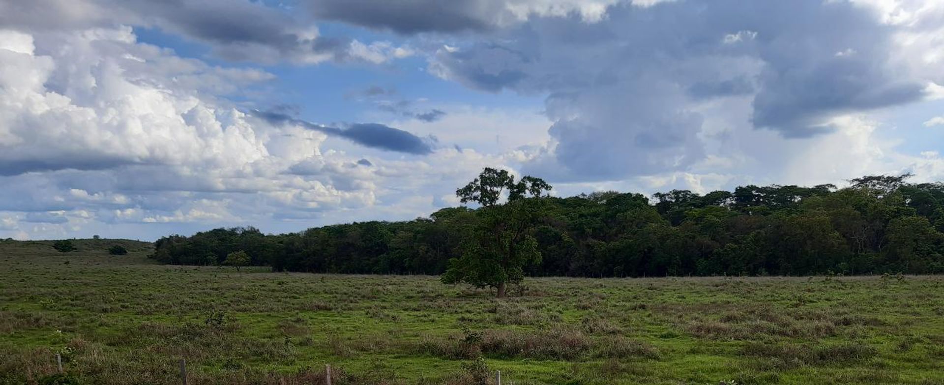 Lain di Planalto da Serra, Mato Grosso 11959655