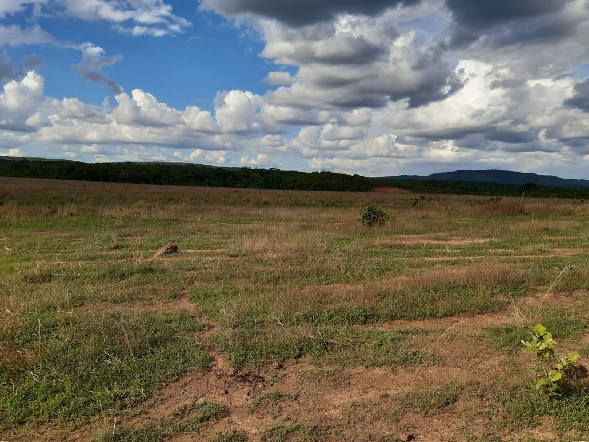 Lain di Planalto da Serra, Mato Grosso 11959655