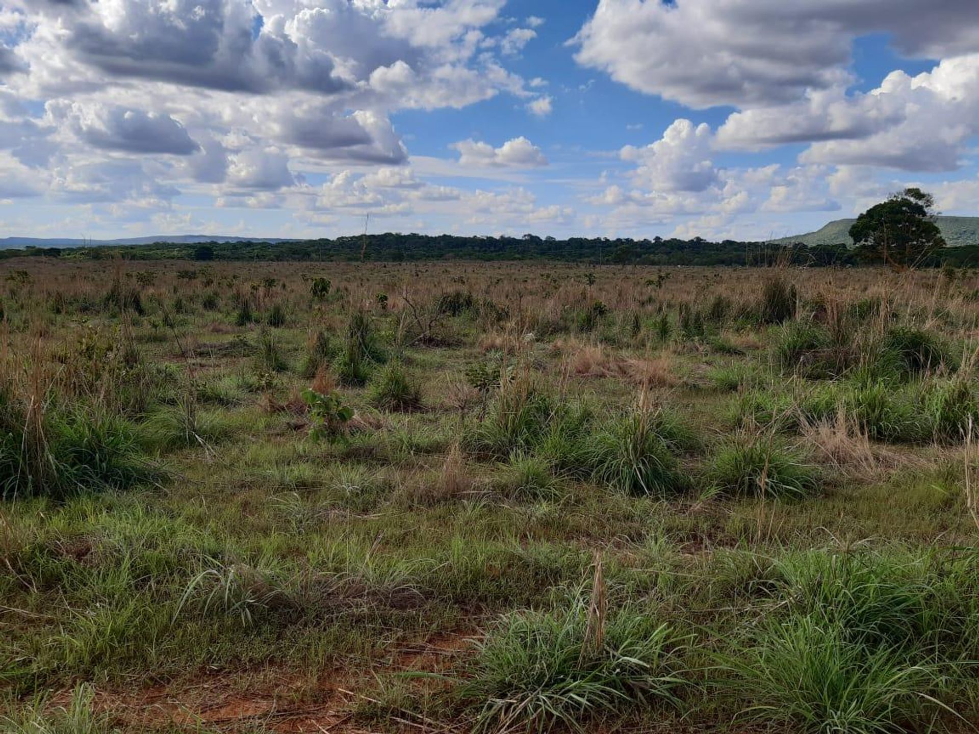 Muu sisään Planalto da Serra, Mato Grosso 11959655