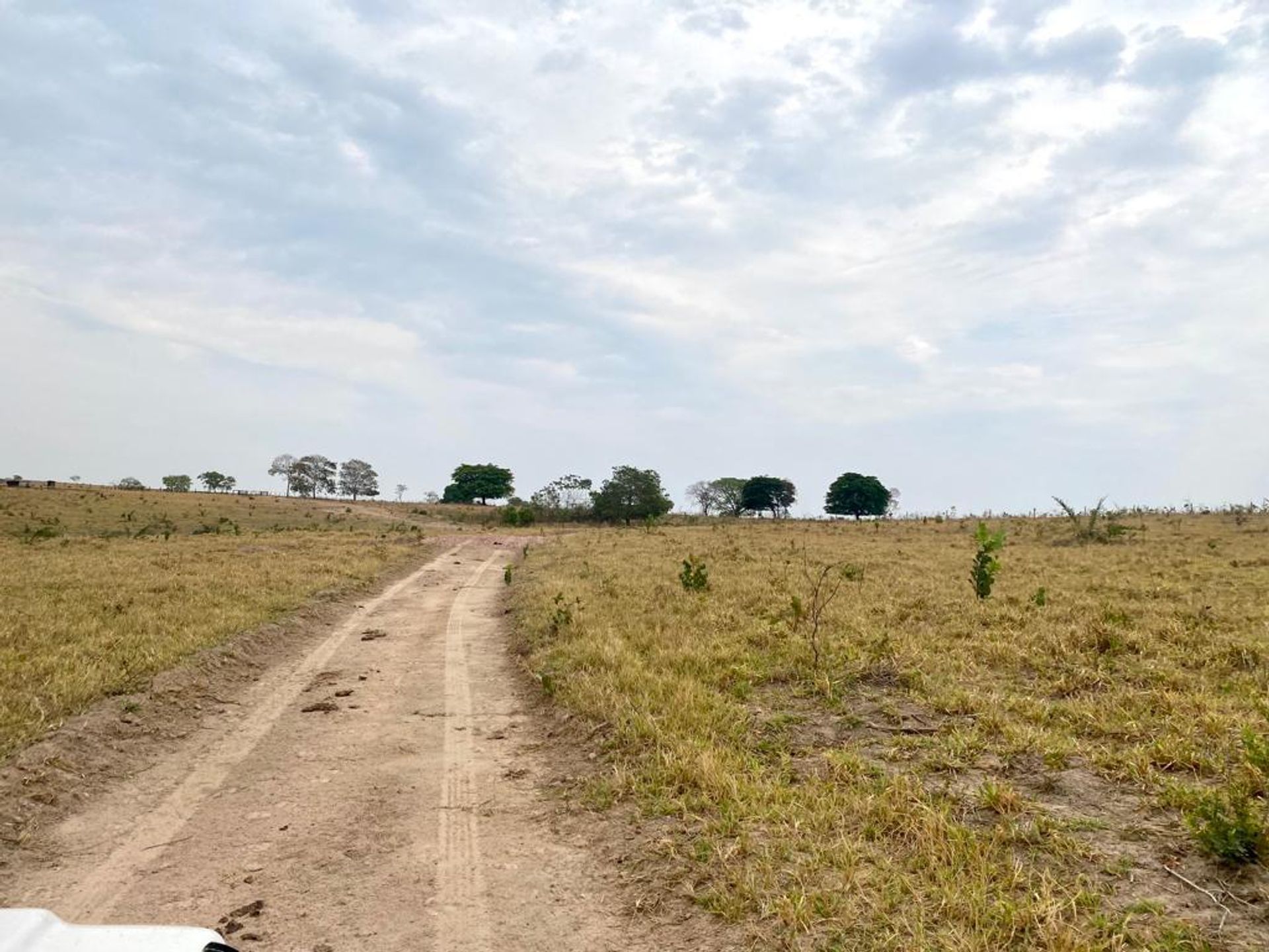 Autre dans Colonia Merure, Mato Grosso 11959656