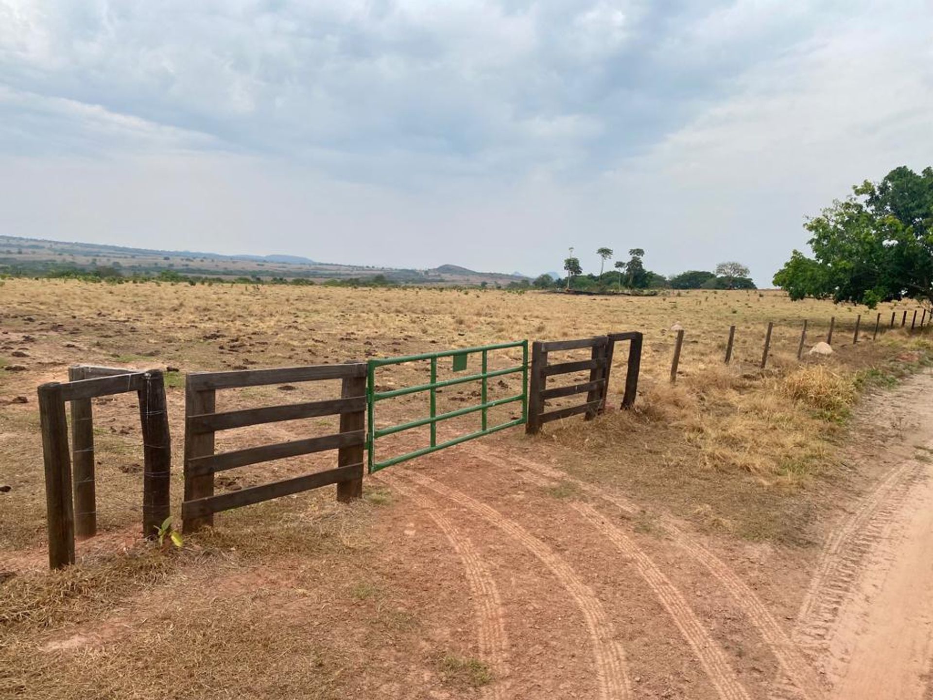 آخر في Colonia Merure, Mato Grosso 11959656