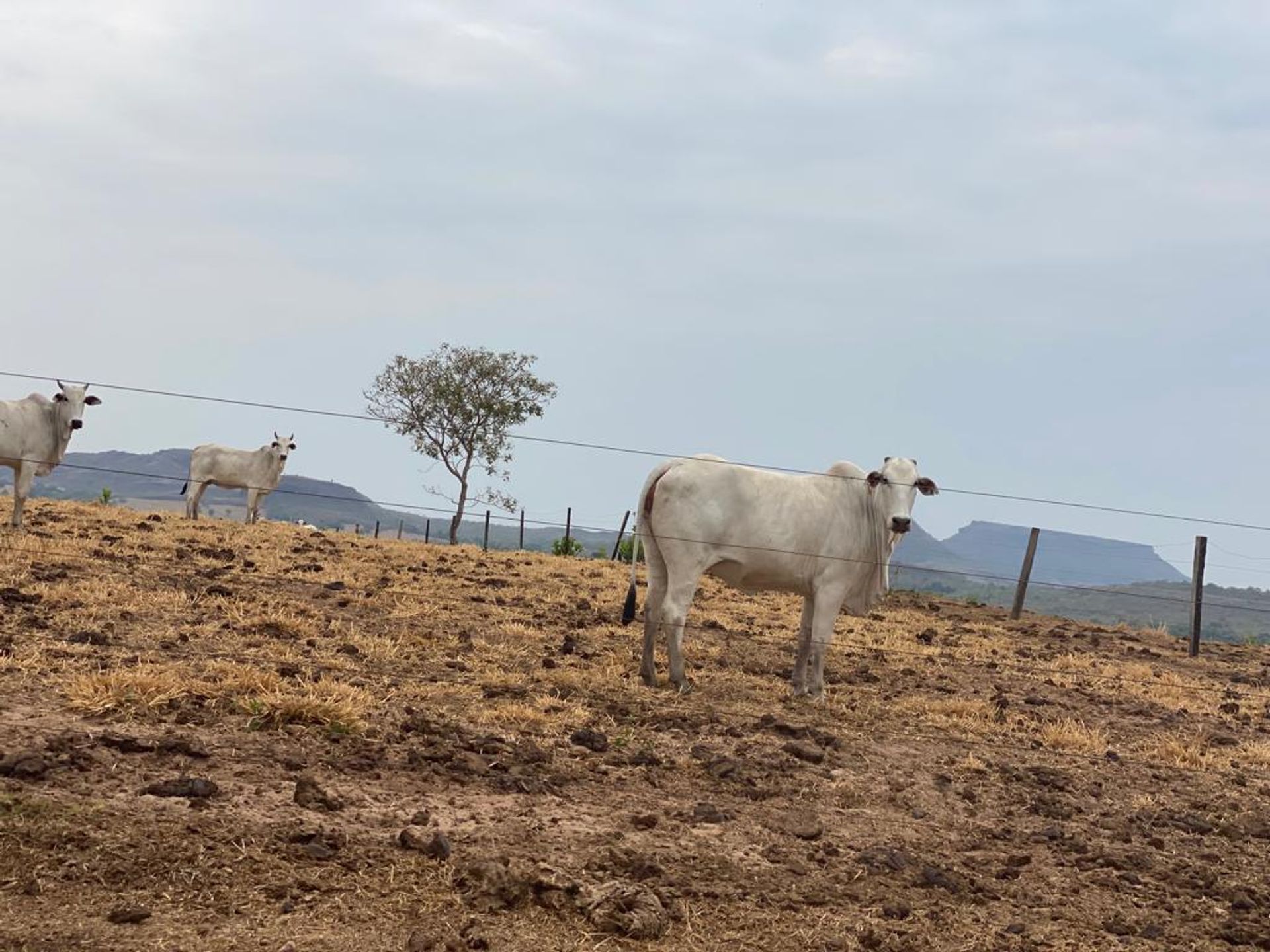 Otro en , Mato Grosso 11959656