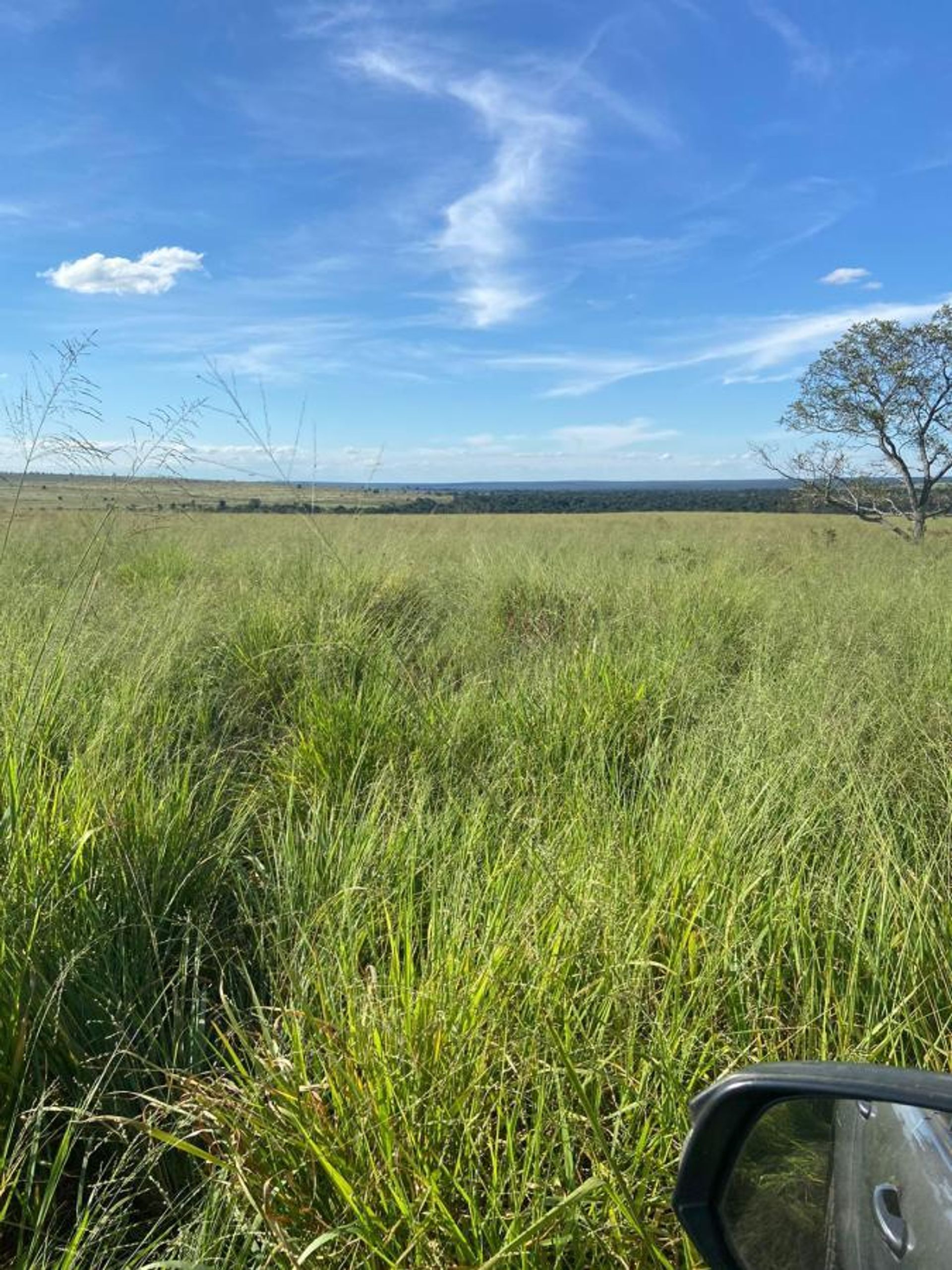 Otro en Colonia Merure, Mato Grosso 11959658