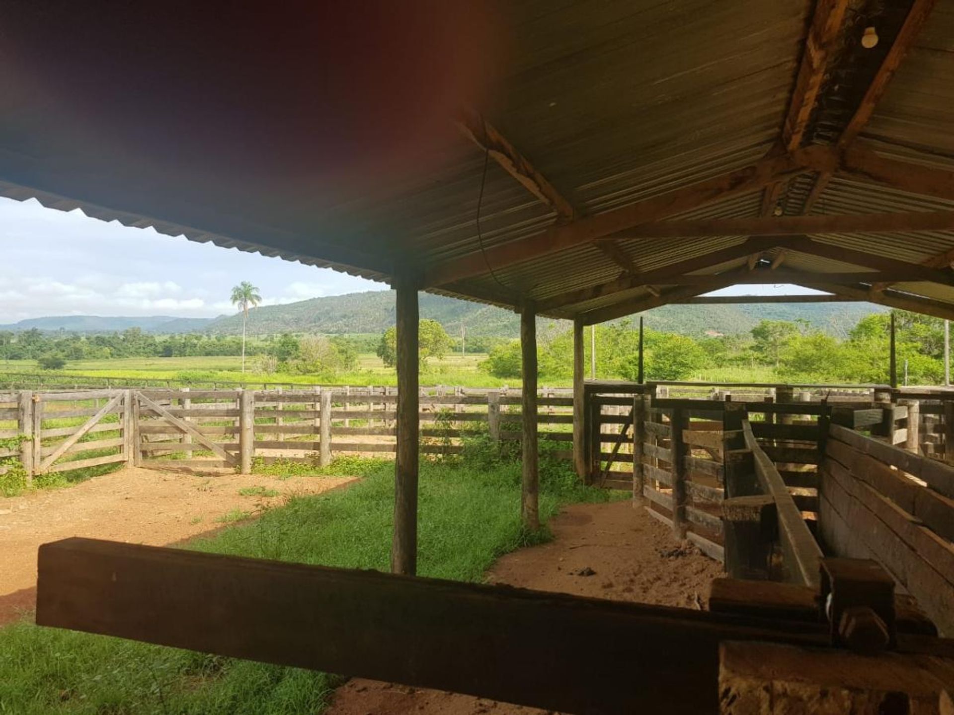 Andet i Vila Rica, Mato Grosso 11959659