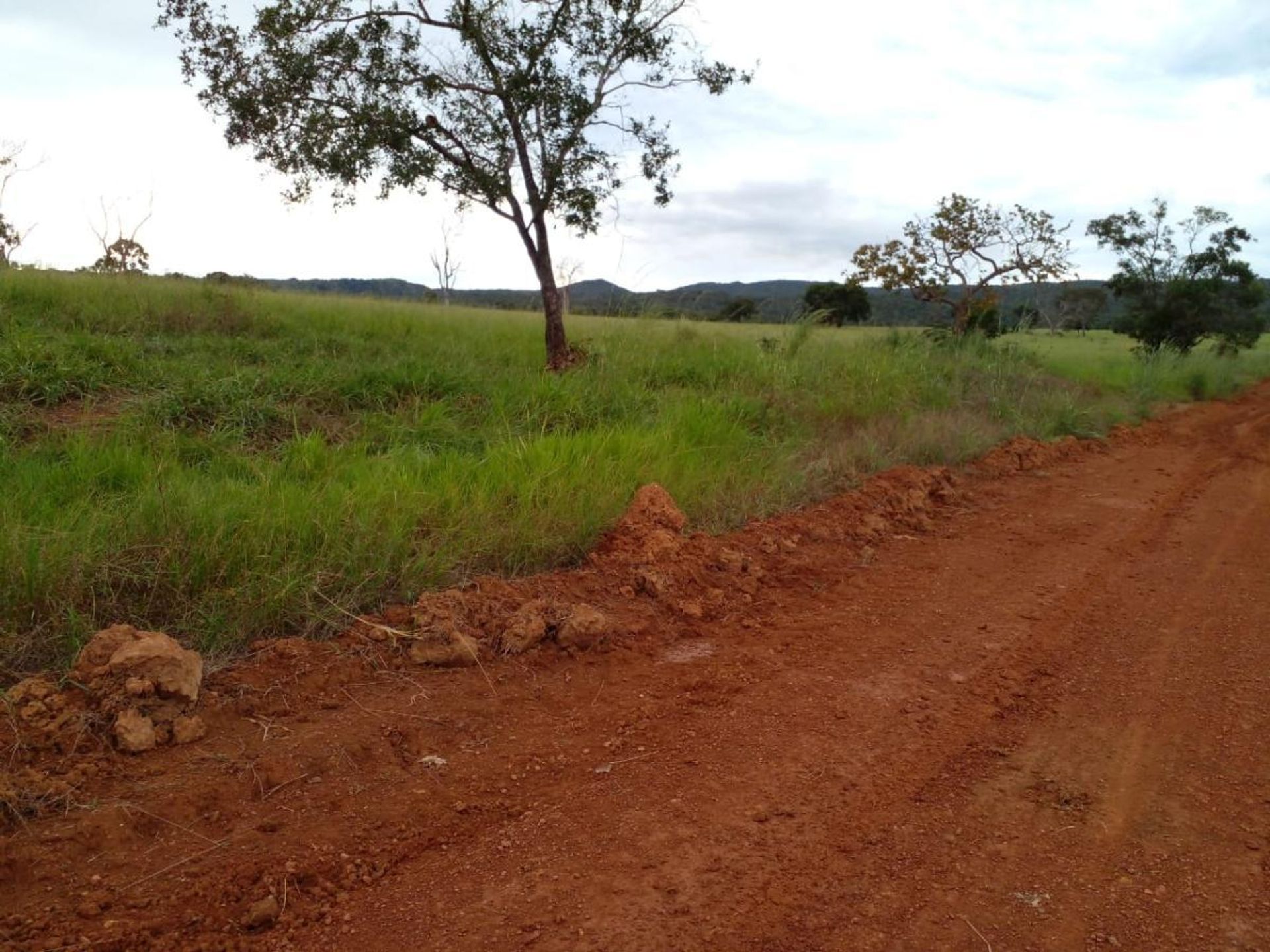 Αλλα σε Nobres, State of Mato Grosso 11959661