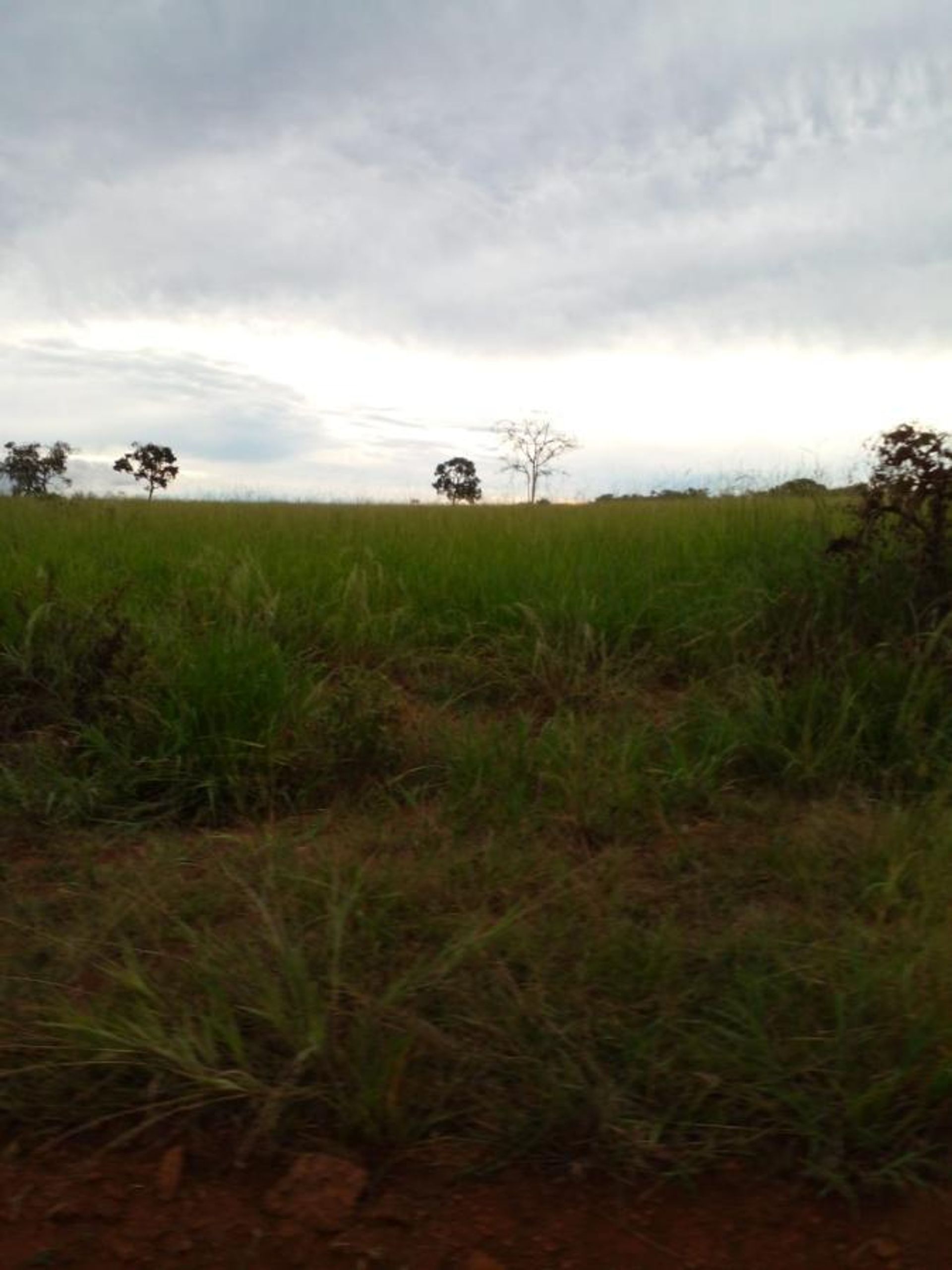 Muu sisään Nobres, State of Mato Grosso 11959661