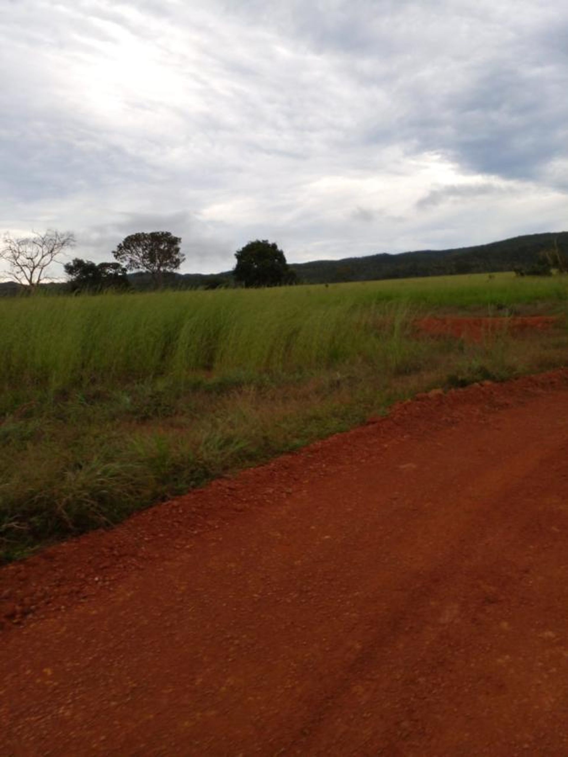 Otro en Nobres, Mato Grosso 11959661