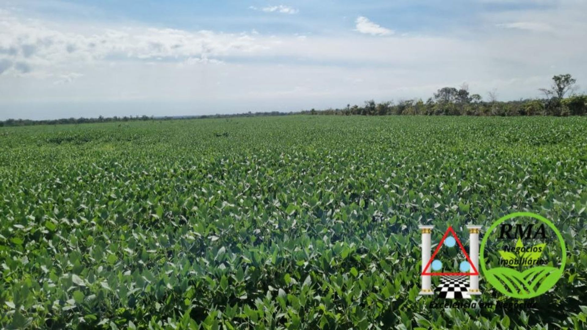 Muu sisään Canabrava do Norte, Mato Grosso 11959662