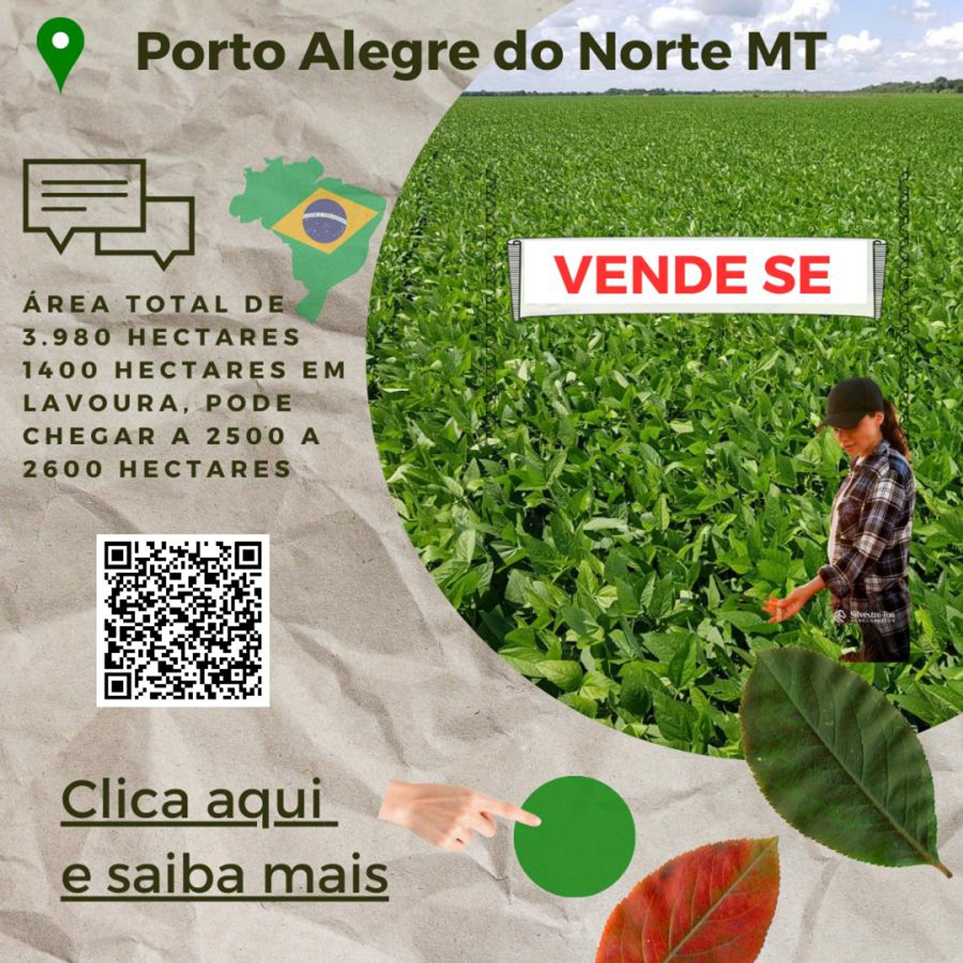 Andet i Canabrava do Norte, Mato Grosso 11959663