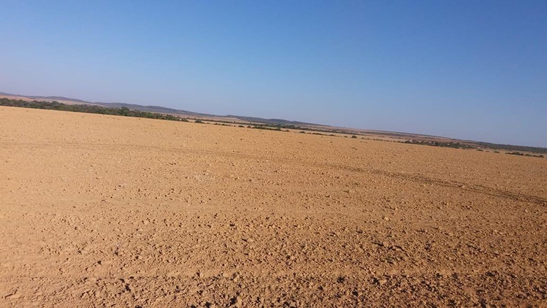 Yang lain dalam Canabrava do Norte, Mato Grosso 11959664