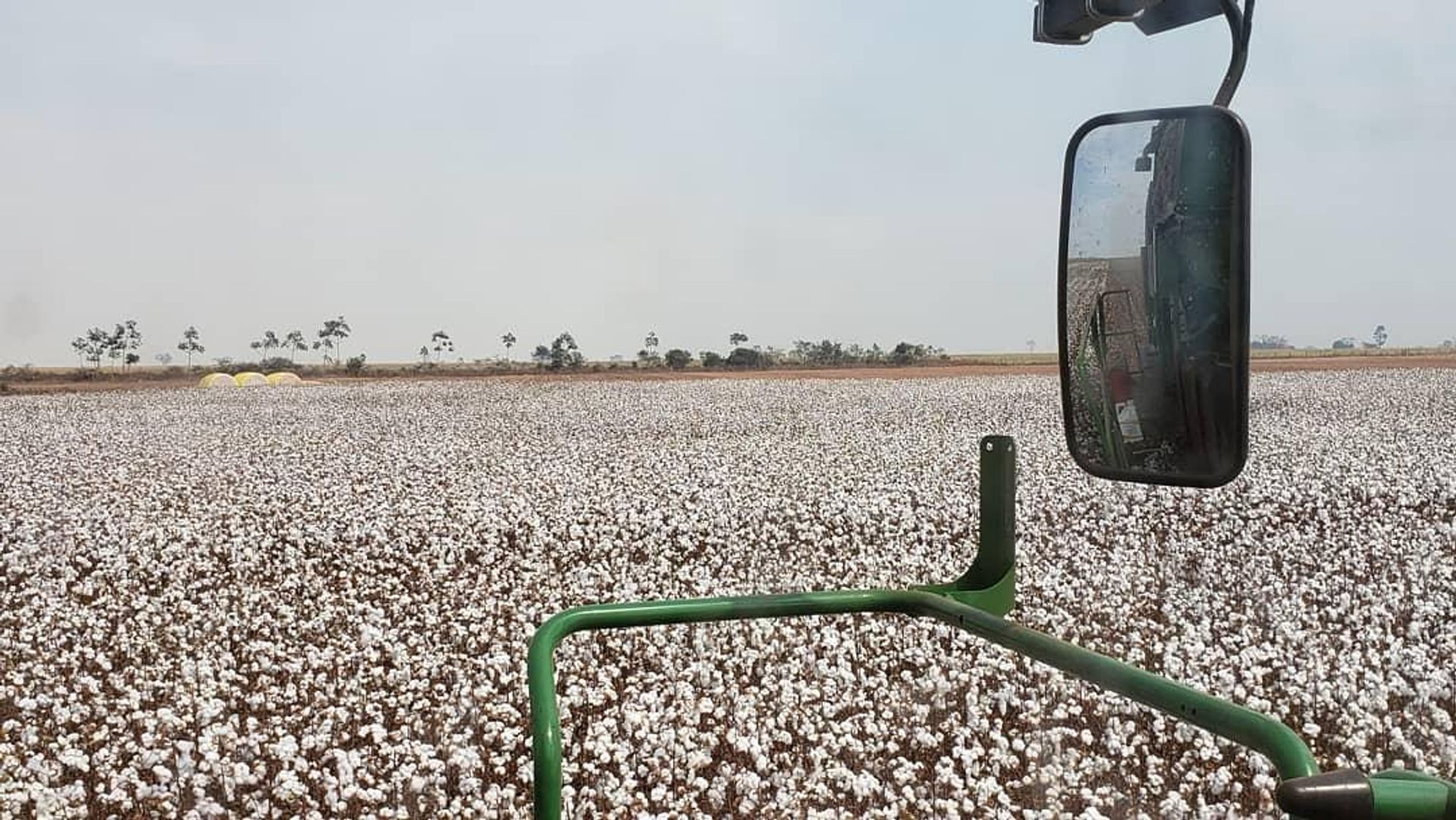 Altro nel Confresa, Mato Grosso 11959664