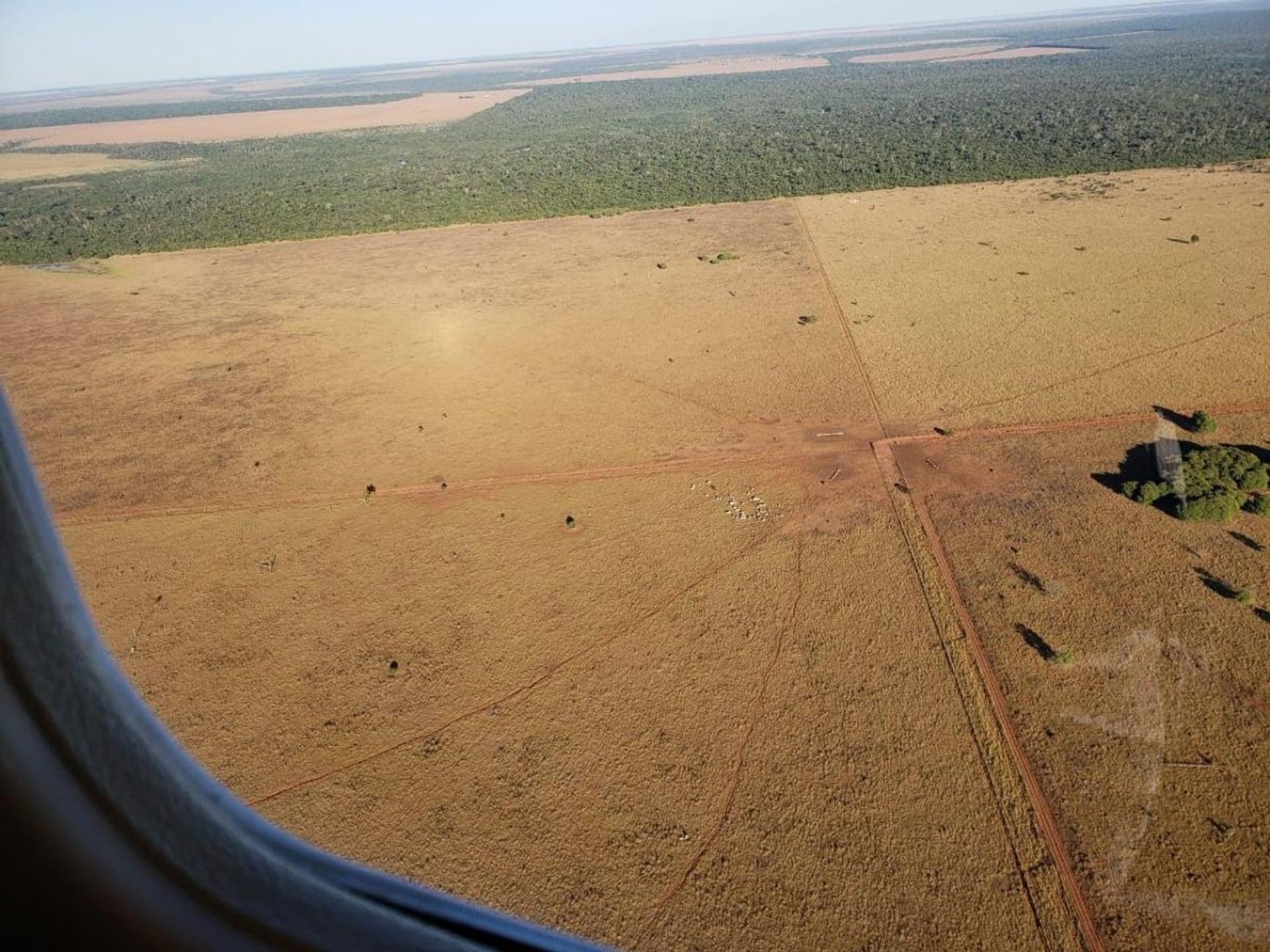 Lain di Confresa, Mato Grosso 11959664