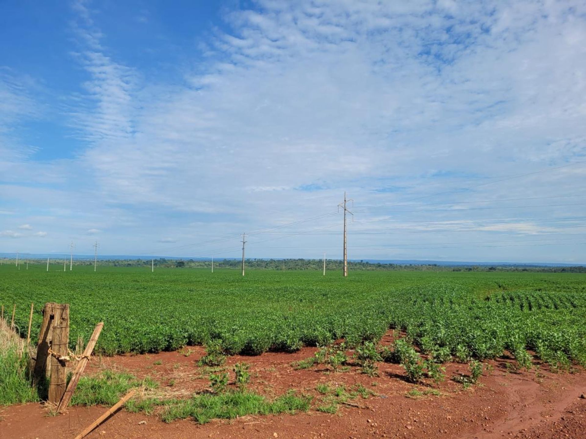 Lain di Confresa, Mato Grosso 11959664