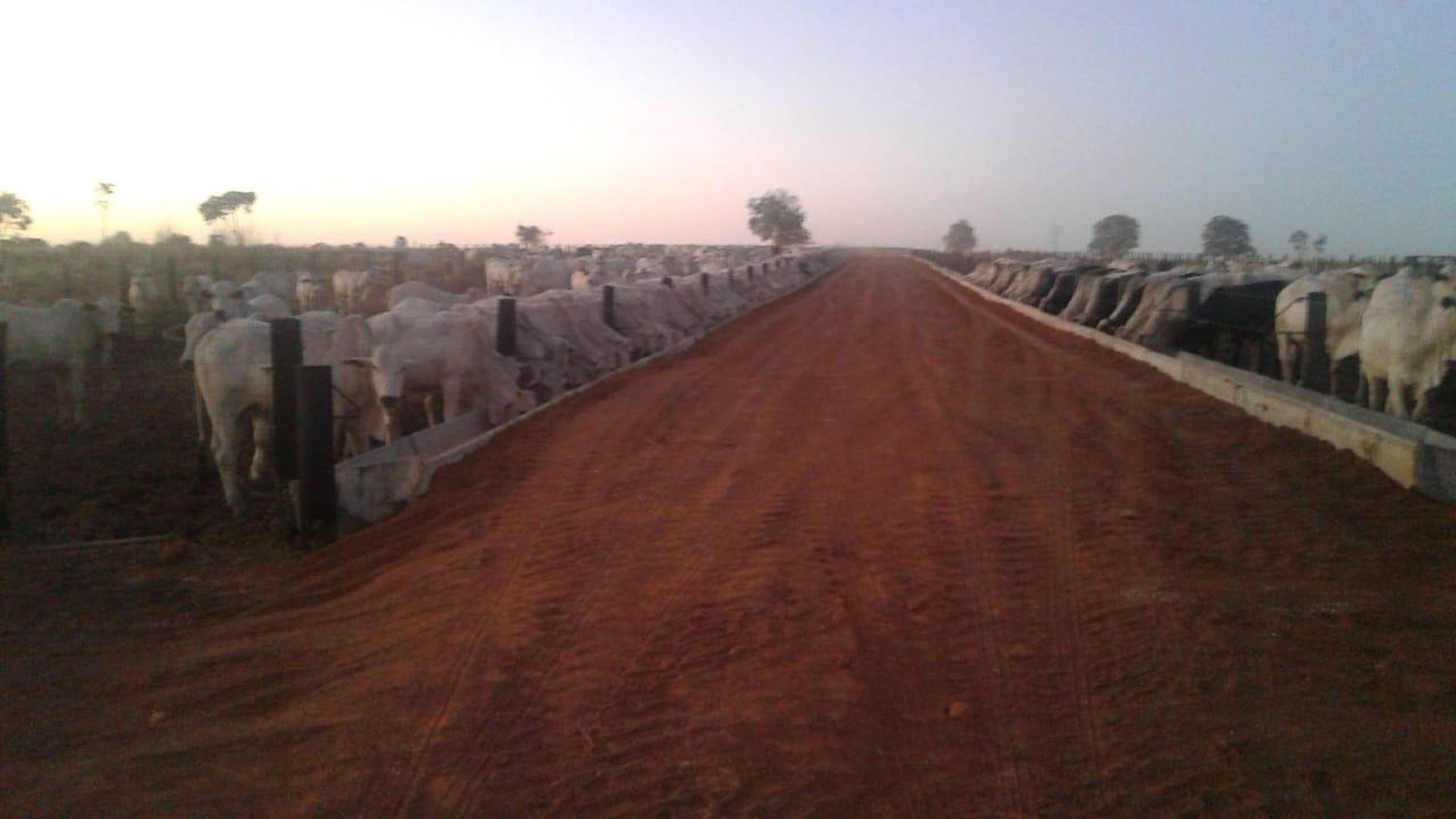 Autre dans Sandolândia, Tocantins 11959669