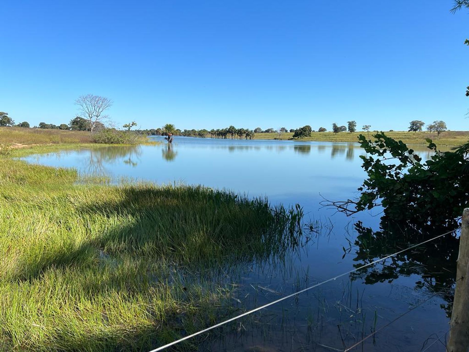 Yang lain dalam Barra do Garcas, Mato Grosso 11959671