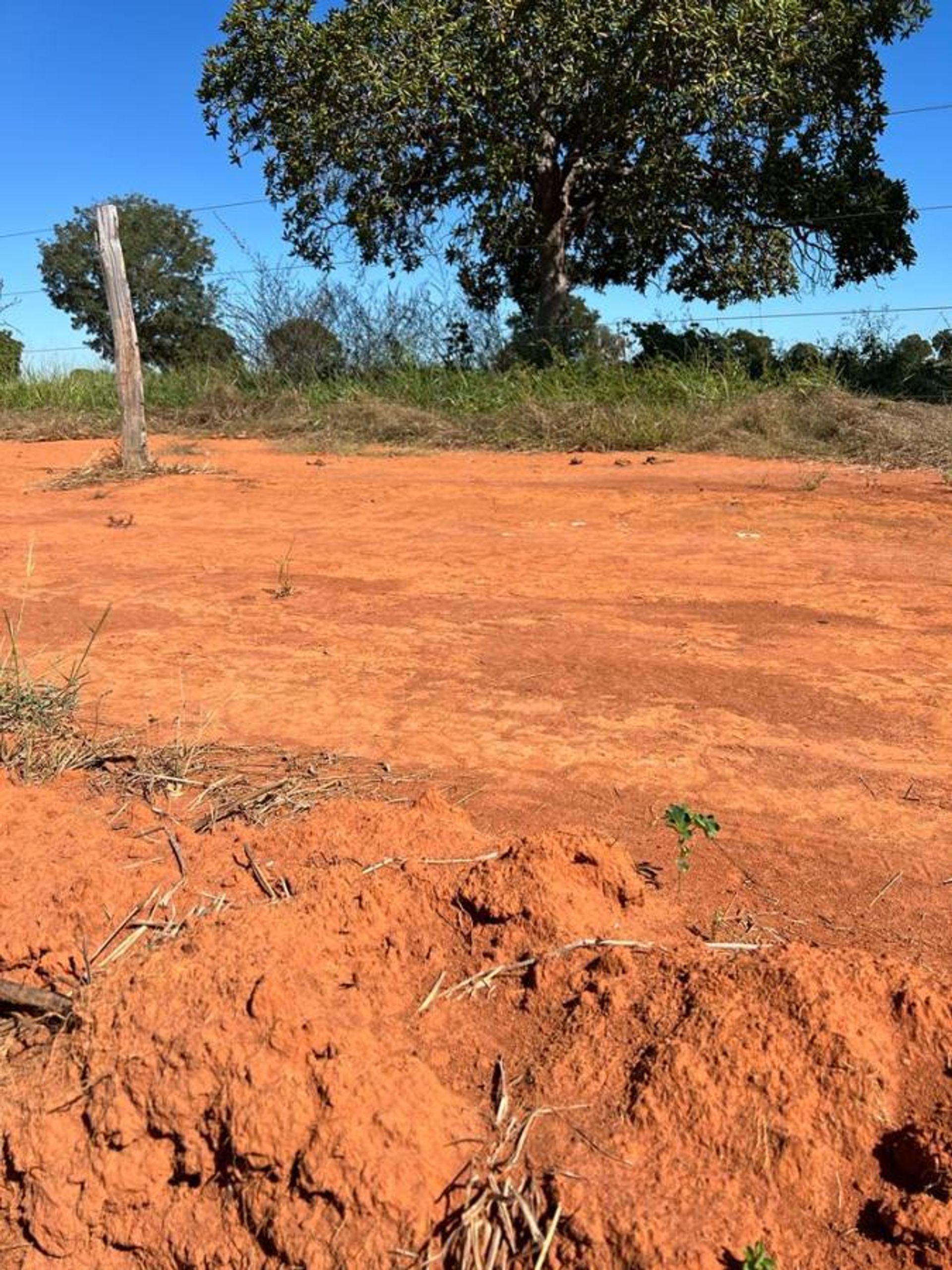 Αλλα σε Barra do Garças, State of Mato Grosso 11959671