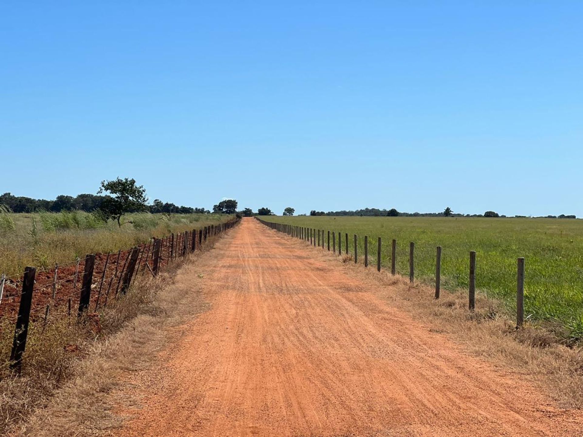 Other in Barra do Garcas, Mato Grosso 11959671