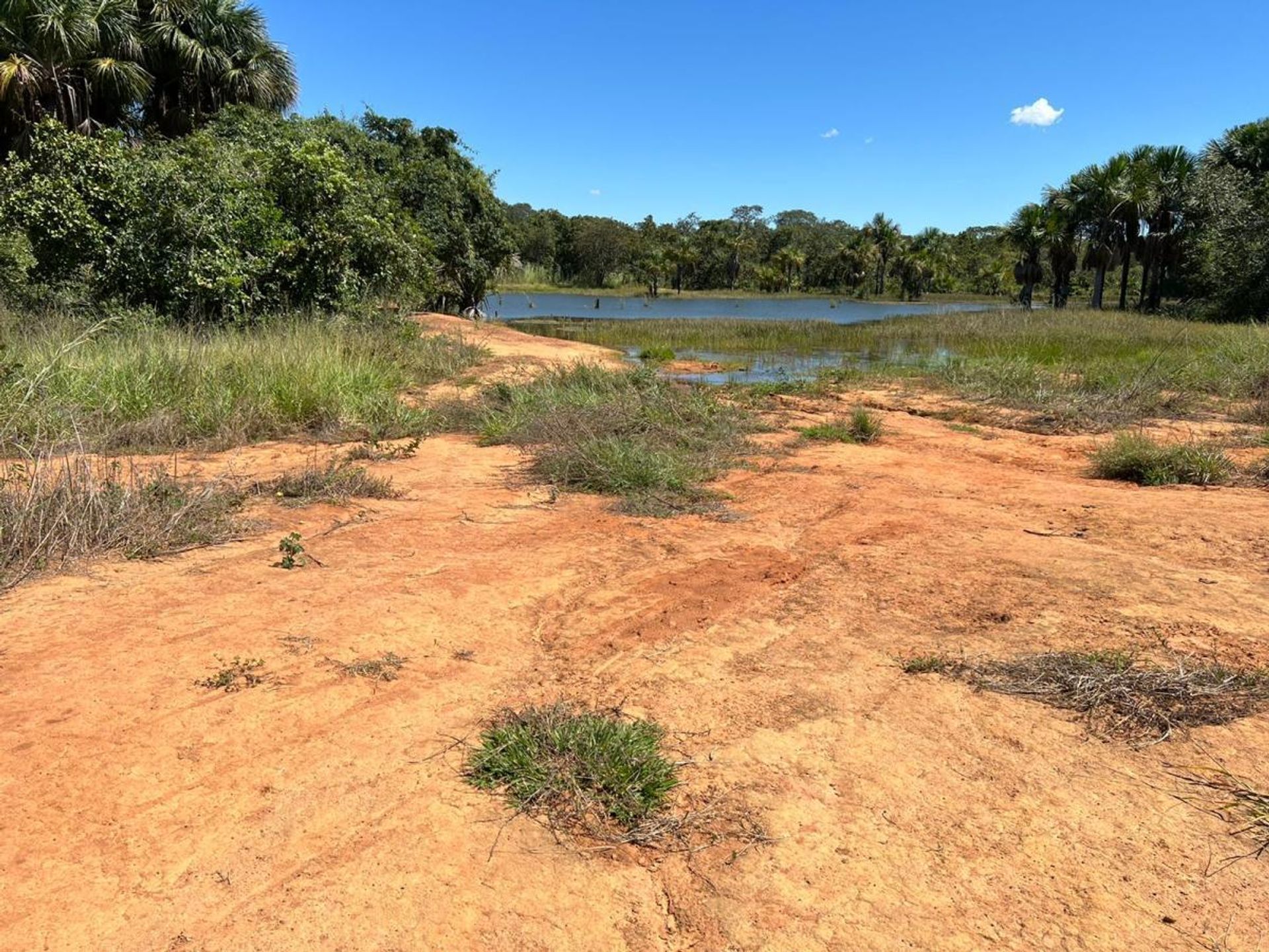 Yang lain dalam Barra do Garcas, Mato Grosso 11959671