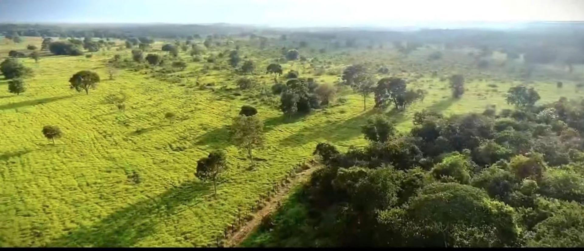 Інший в Cocalinho, Mato Grosso 11959672