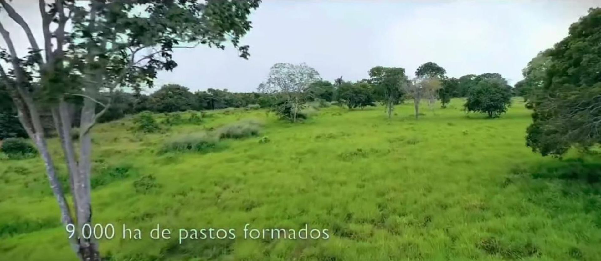 آخر في Cocalinho, Mato Grosso 11959672