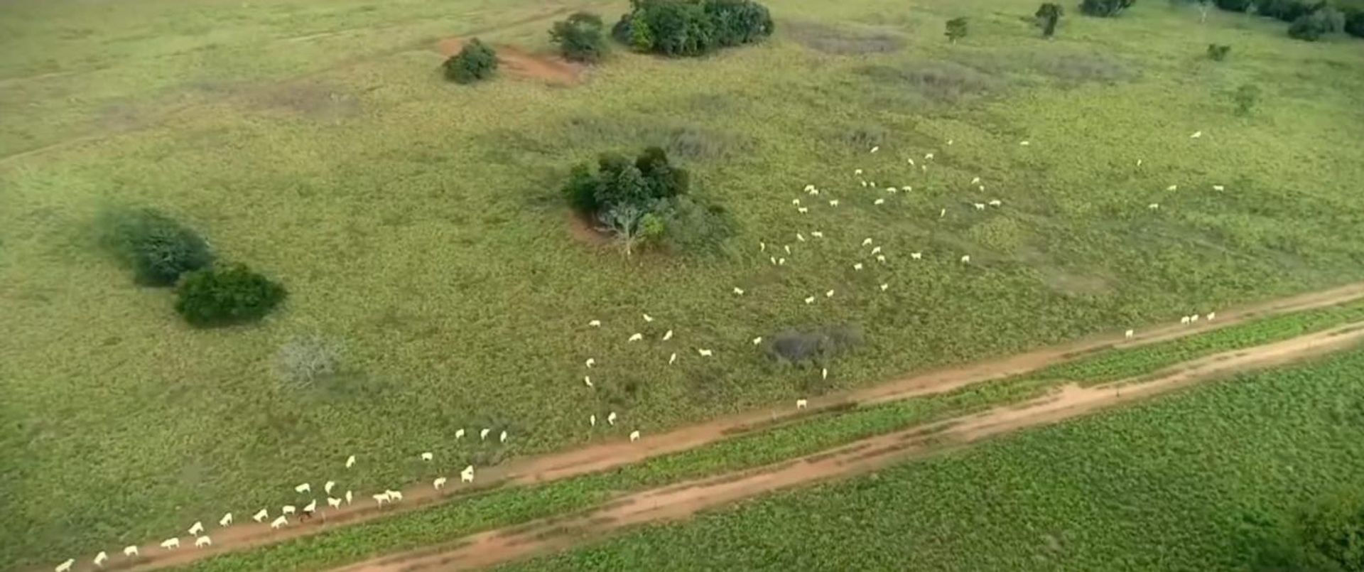 آخر في Cocalinho, Mato Grosso 11959672