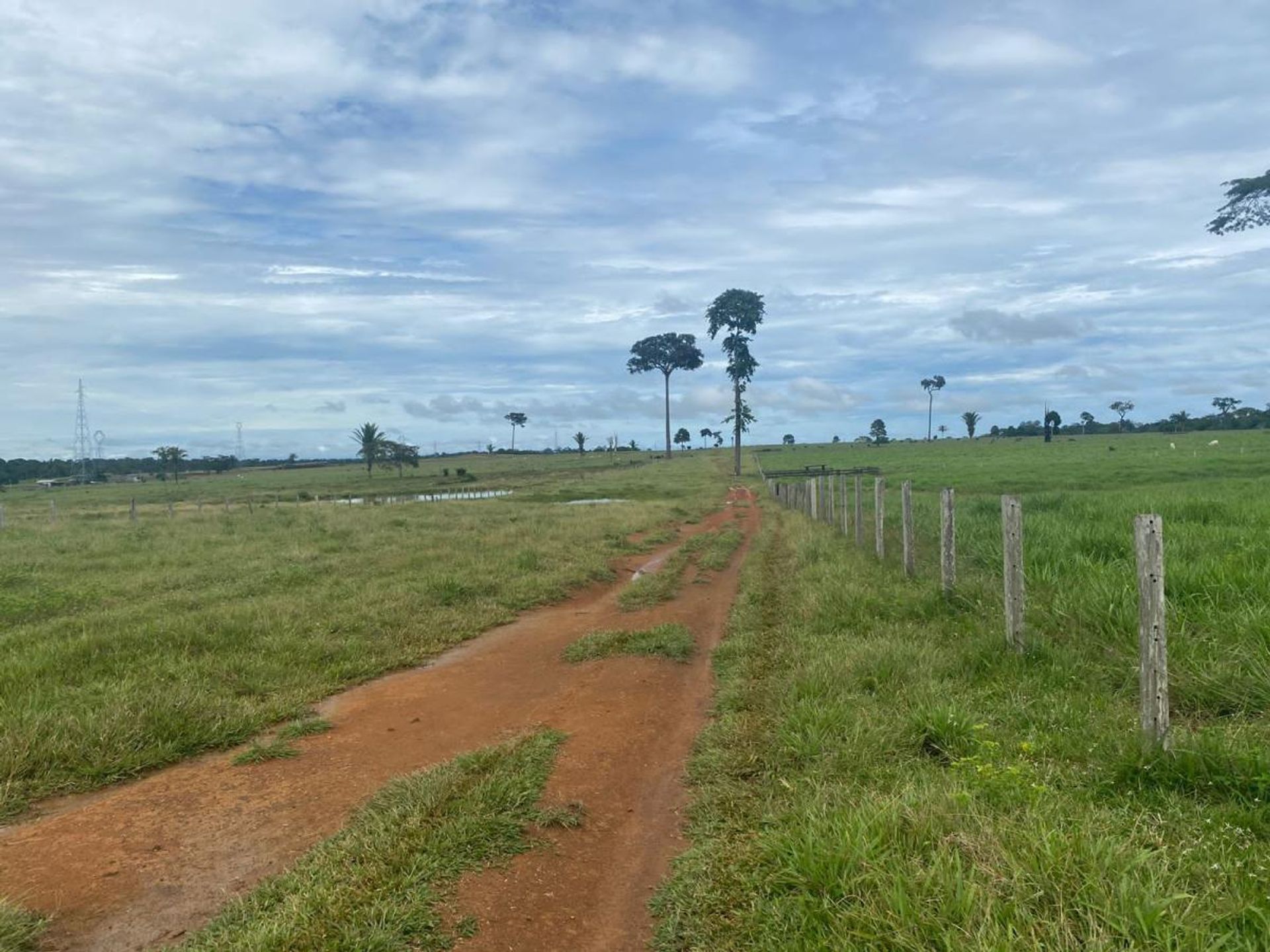 Другой в Porto Velho, Rondonia 11959673