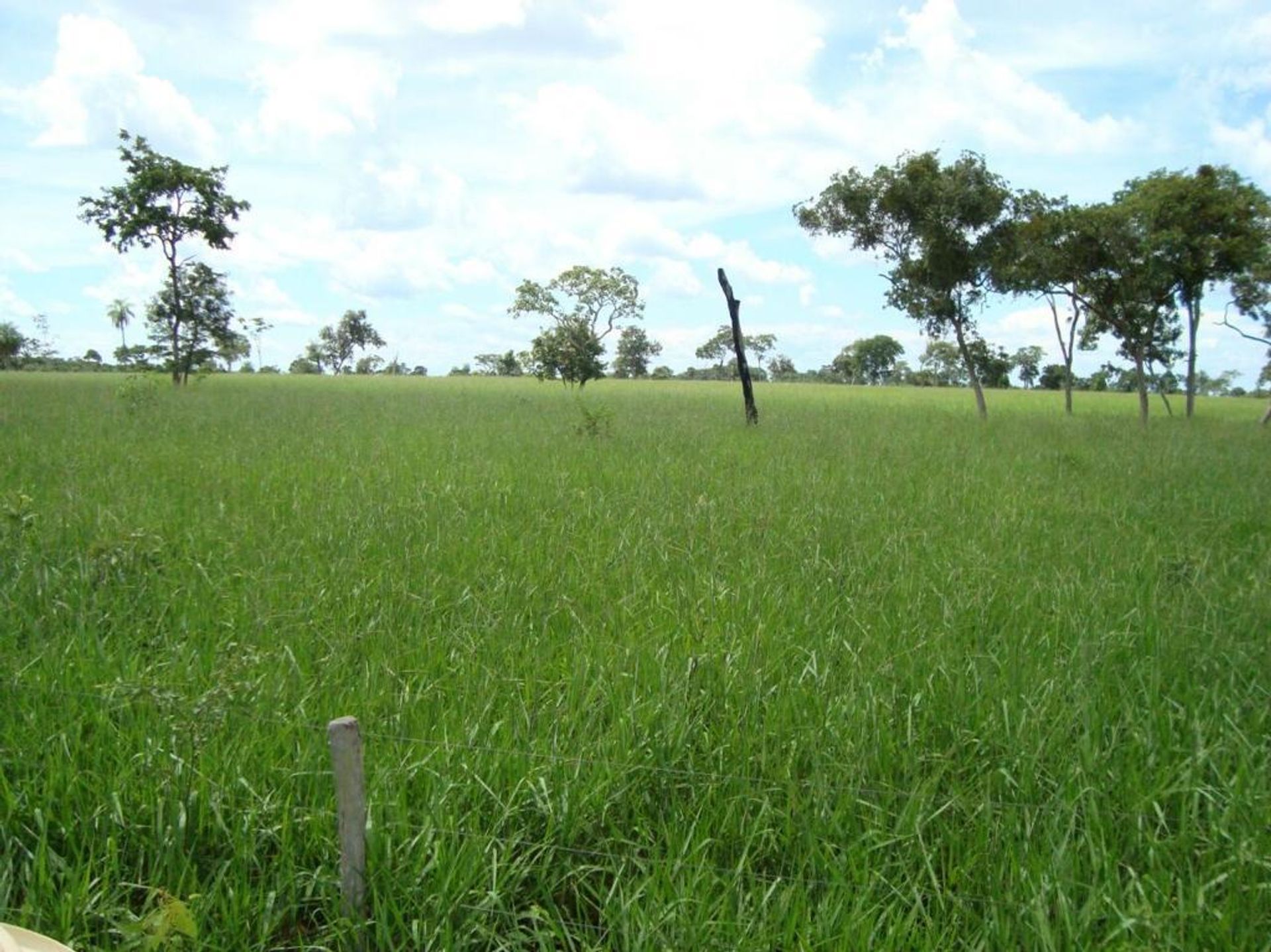 Autre dans Pontes e Lacerda, State of Mato Grosso 11959678