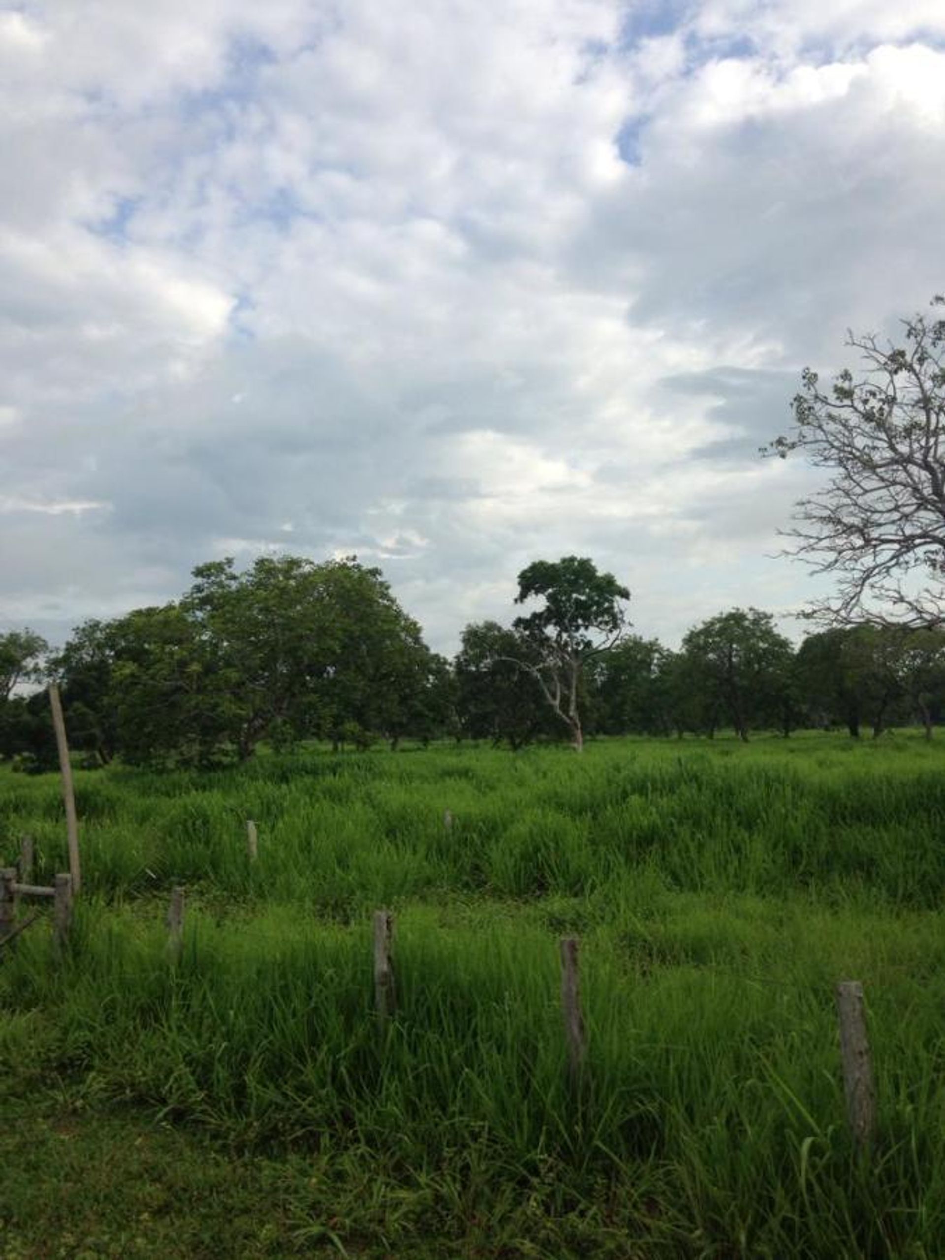 Autre dans Pontes e Lacerda, State of Mato Grosso 11959678