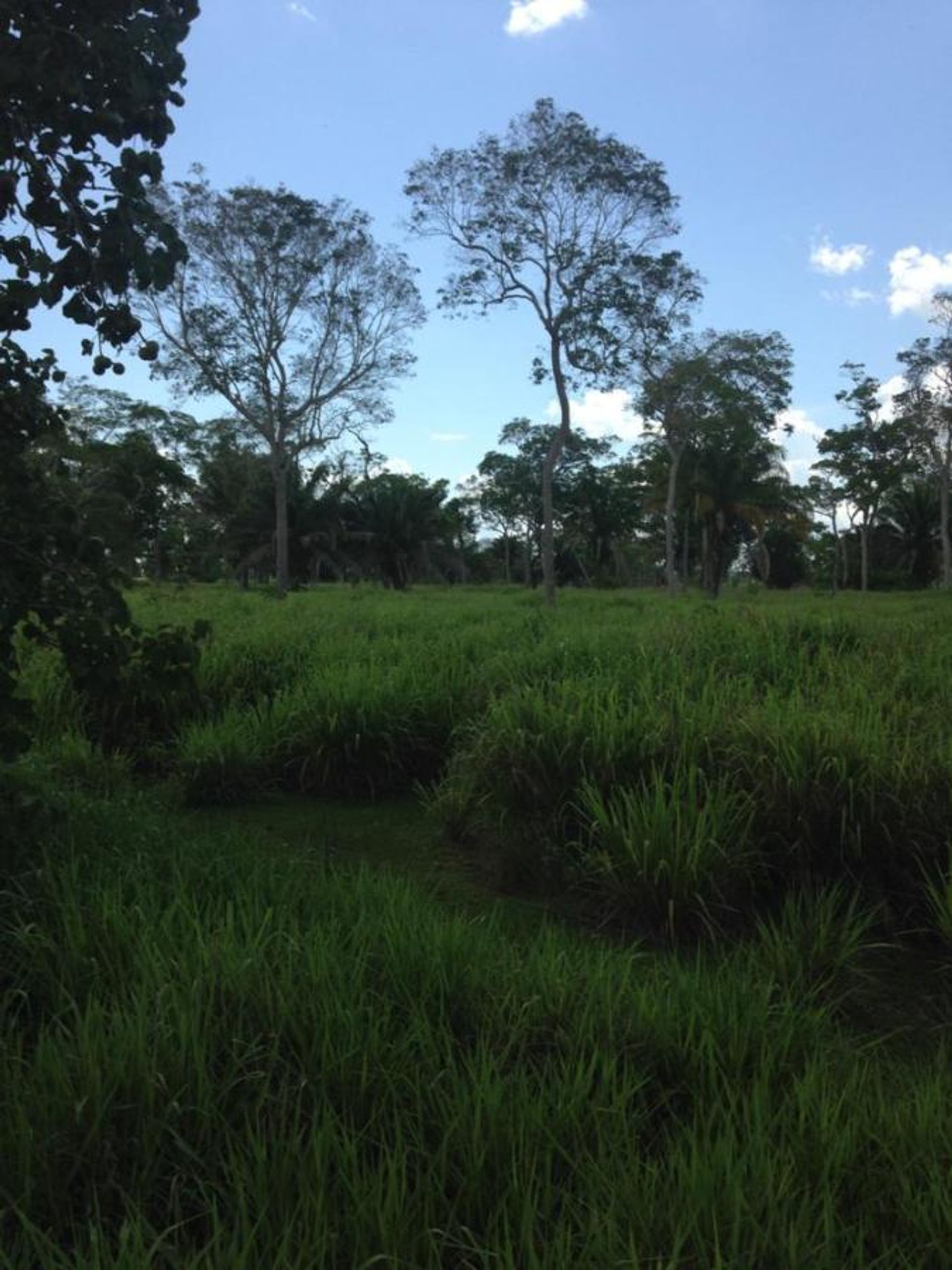 Autre dans Pontes e Lacerda, State of Mato Grosso 11959678