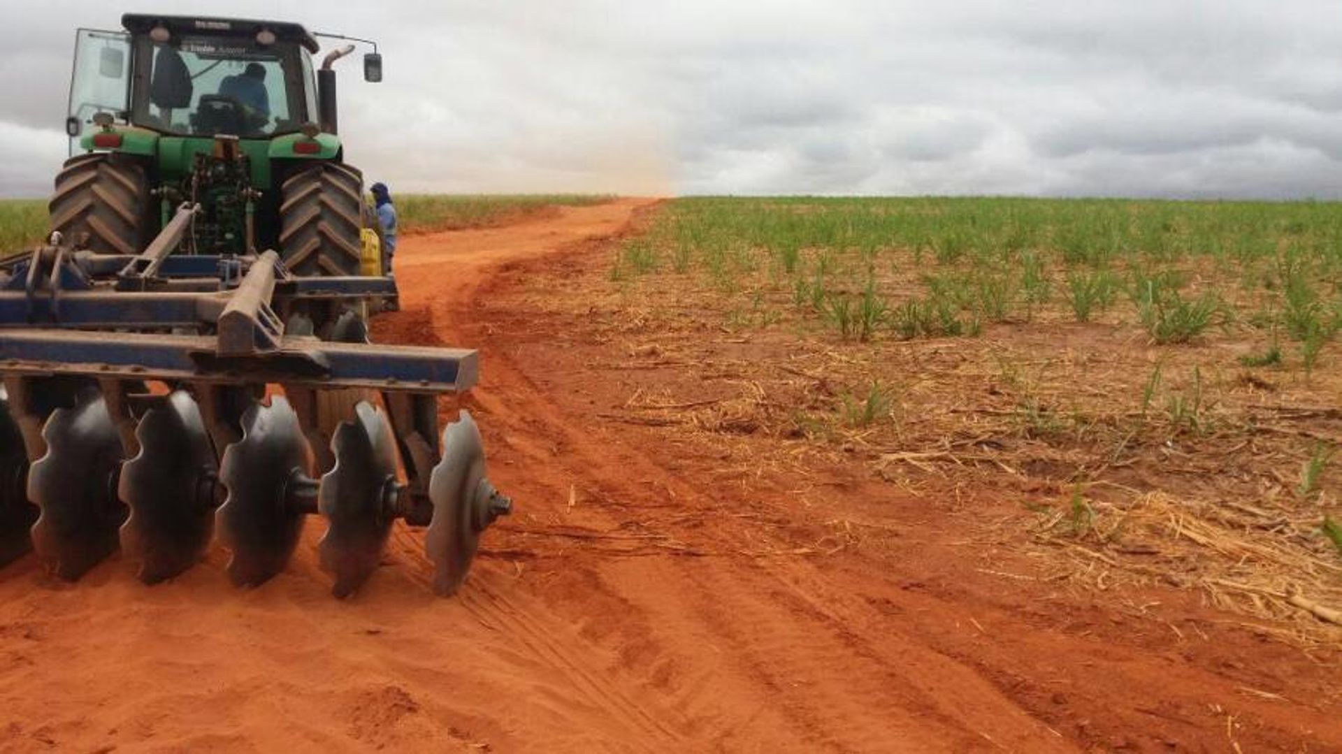 Altro nel Nova Ubirata, Mato Grosso 11959692