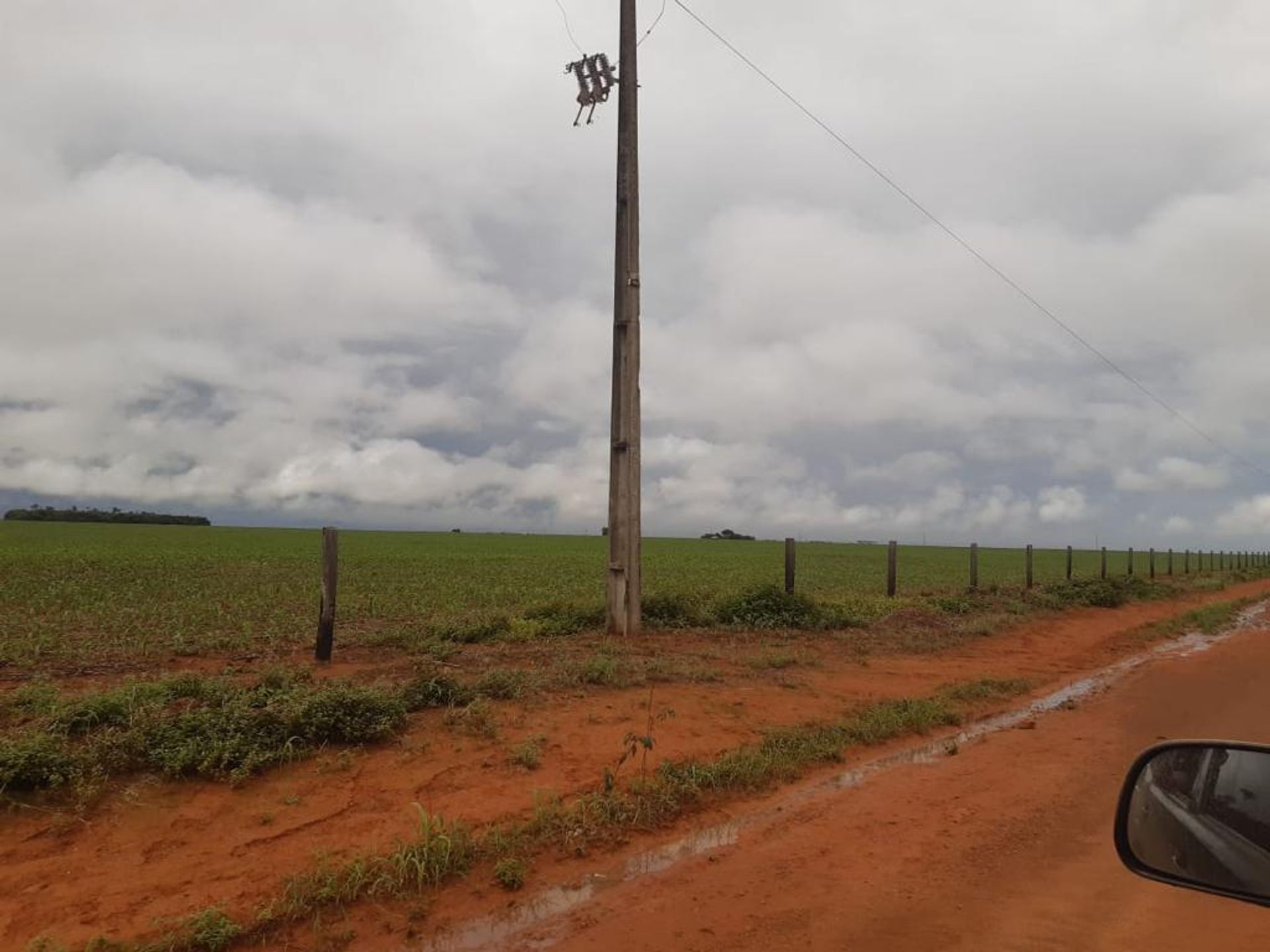 Outro no Nova Ubirata, Mato Grosso 11959692