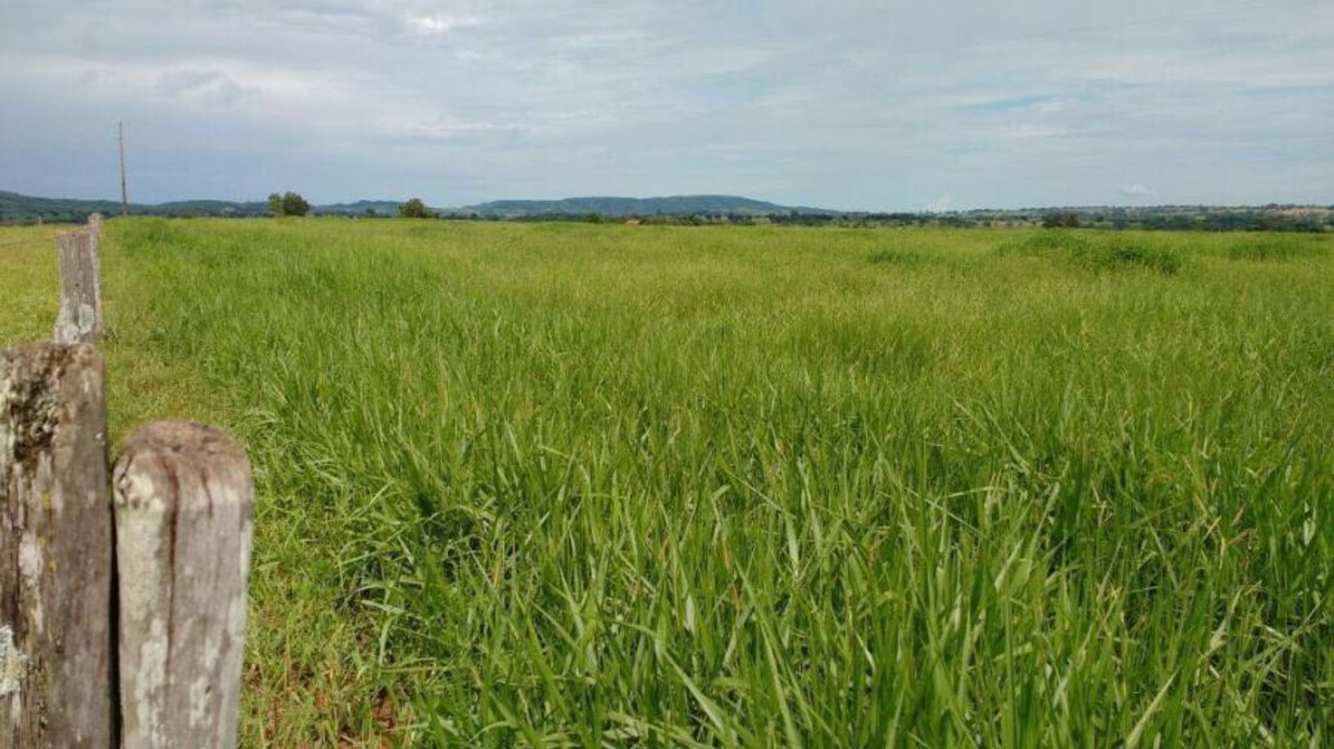 Otro en Nova Ubirata, Mato Grosso 11959692