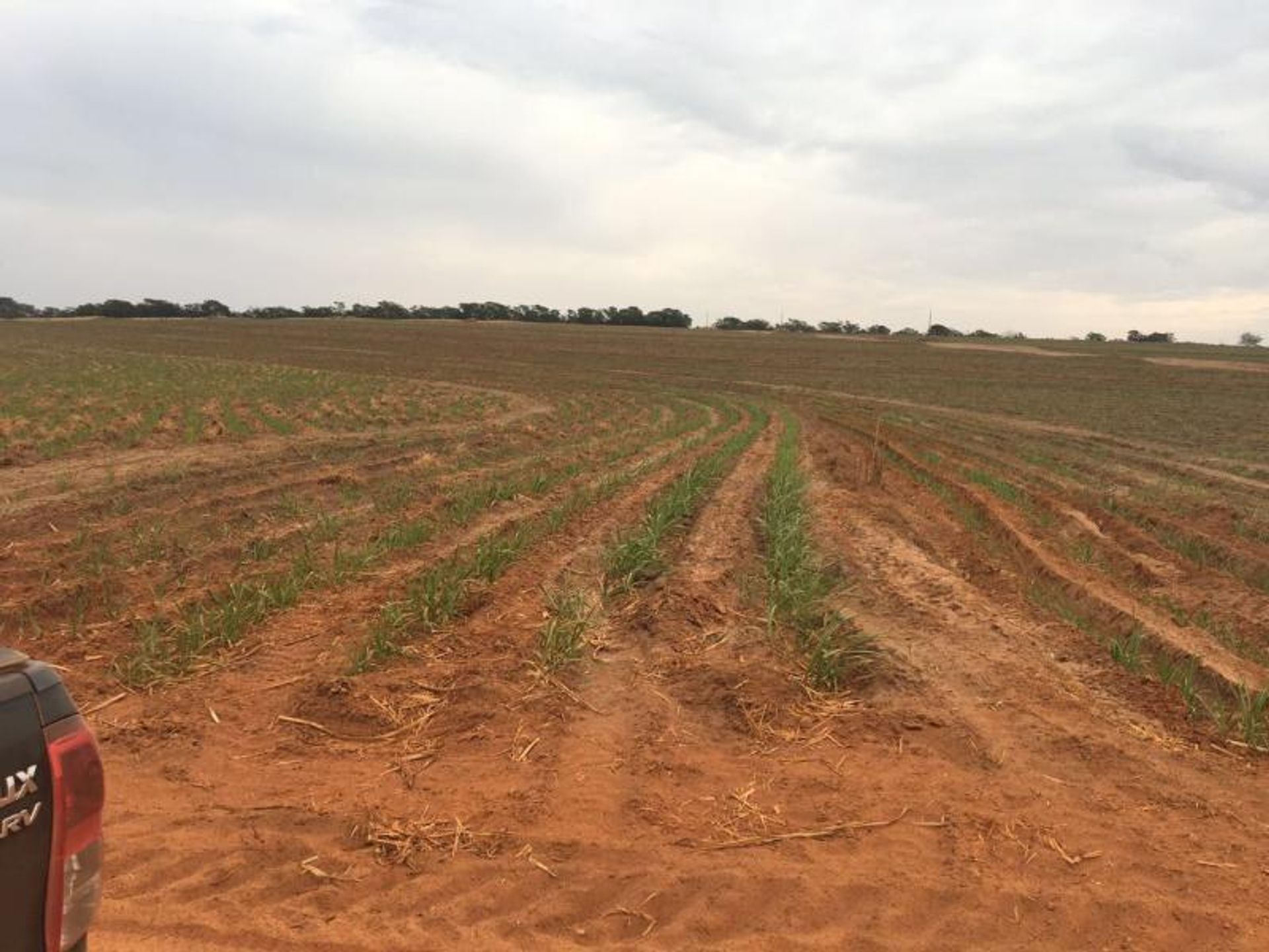 Andet i Nova Ubiratã, Mato Grosso 11959692