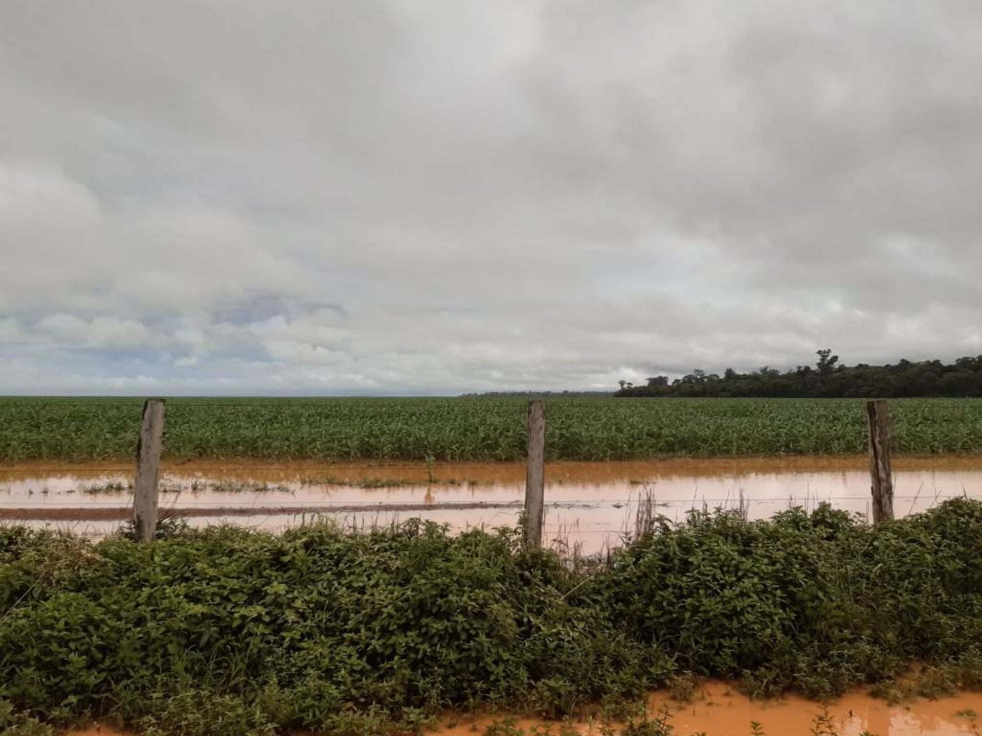 Muu sisään , State of Mato Grosso 11959692