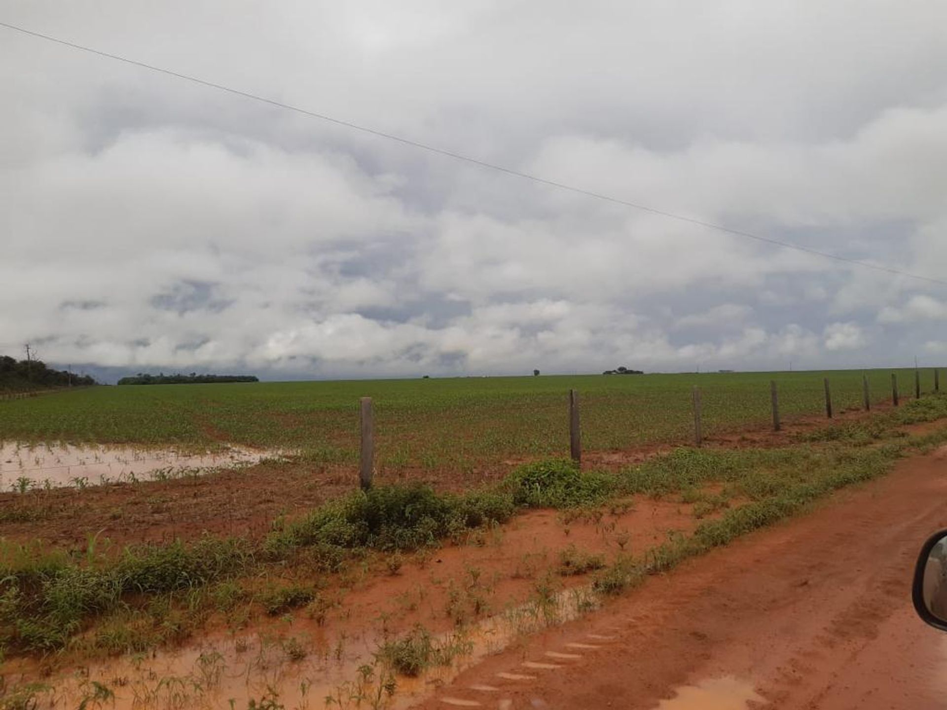 Muu sisään , State of Mato Grosso 11959692