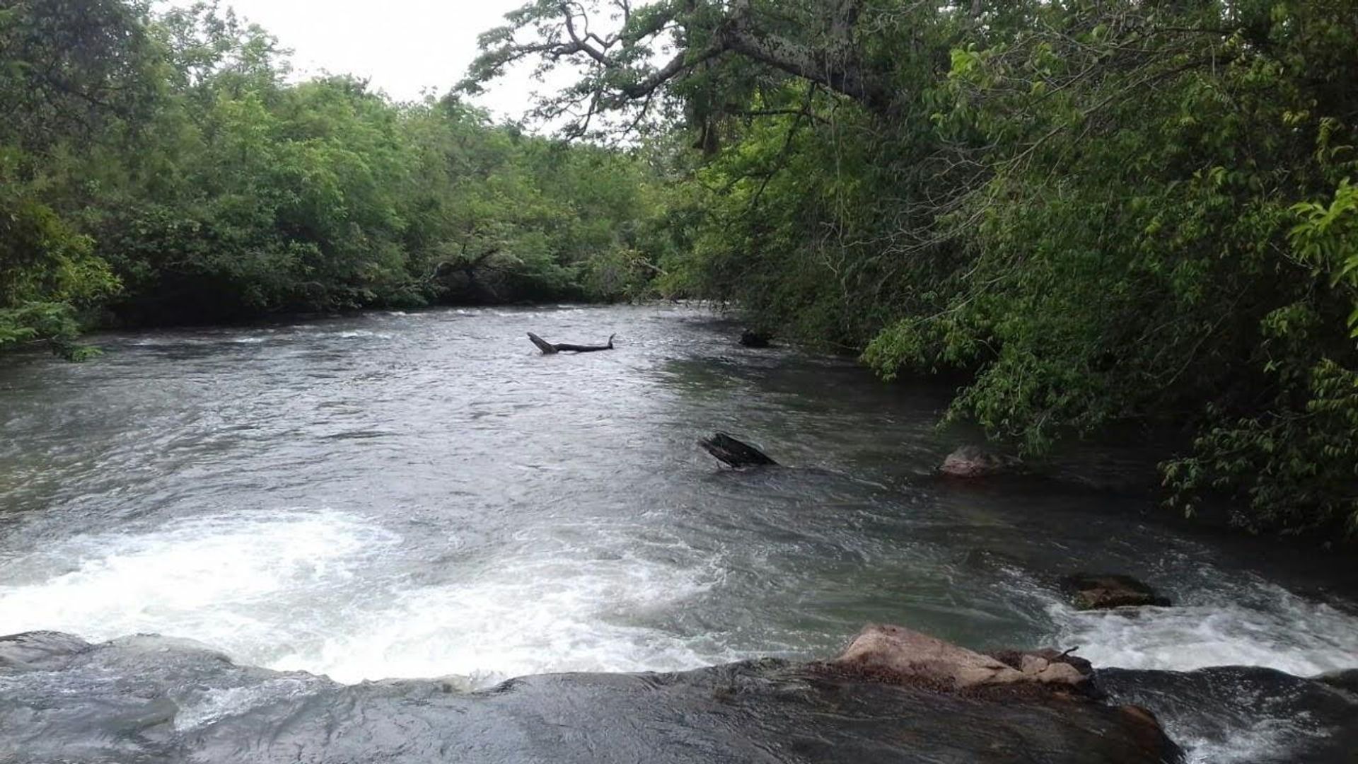 Lain di Paranatinga, Mato Grosso 11959693