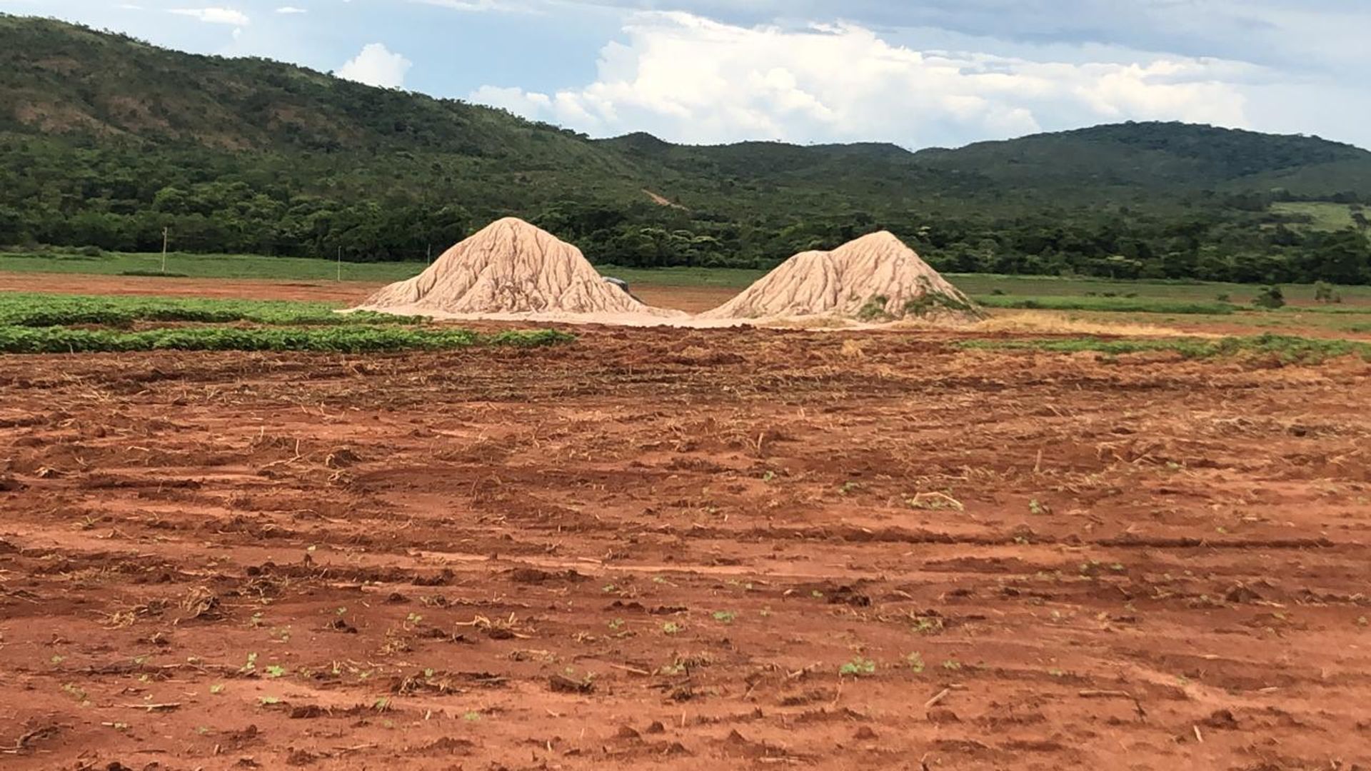 Lain di Paranatinga, Mato Grosso 11959693