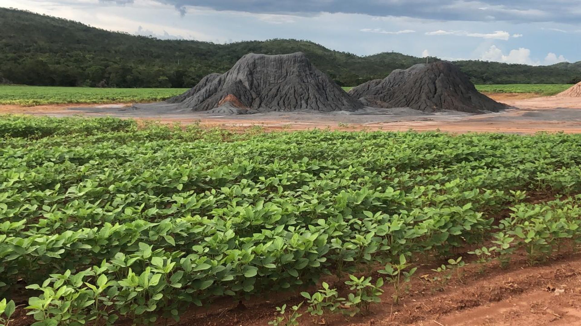 Lain di Paranatinga, Mato Grosso 11959693