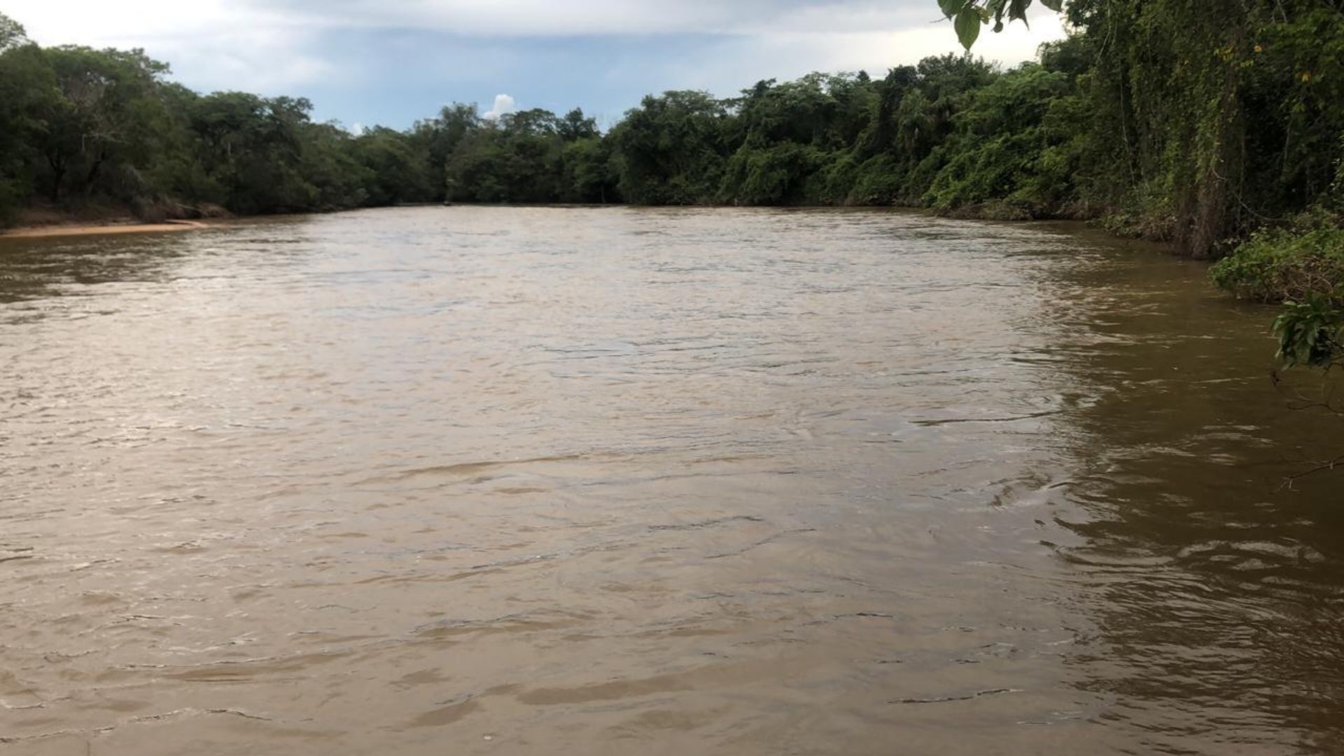 Lain di Paranatinga, Mato Grosso 11959693