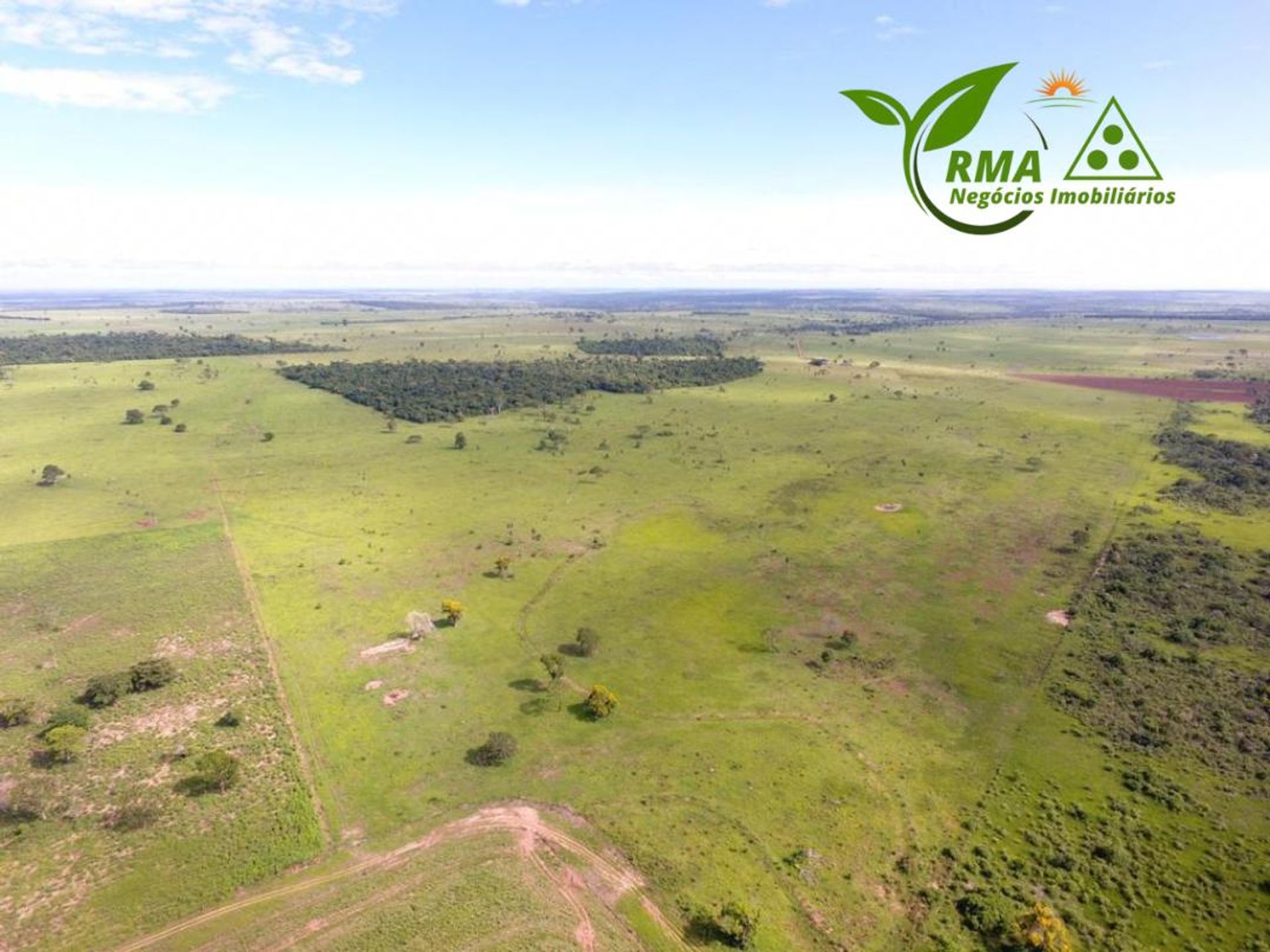 Autre dans , State of Mato Grosso 11959694