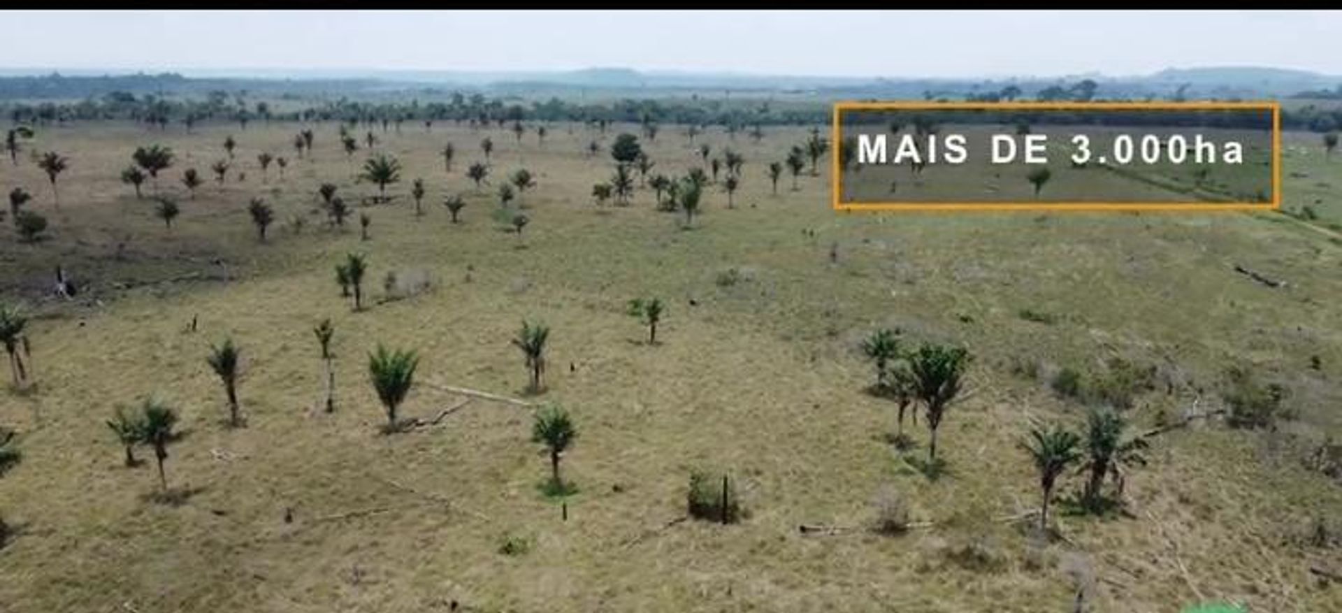 Otro en Porto dos Gauchos, Mato Grosso 11959695