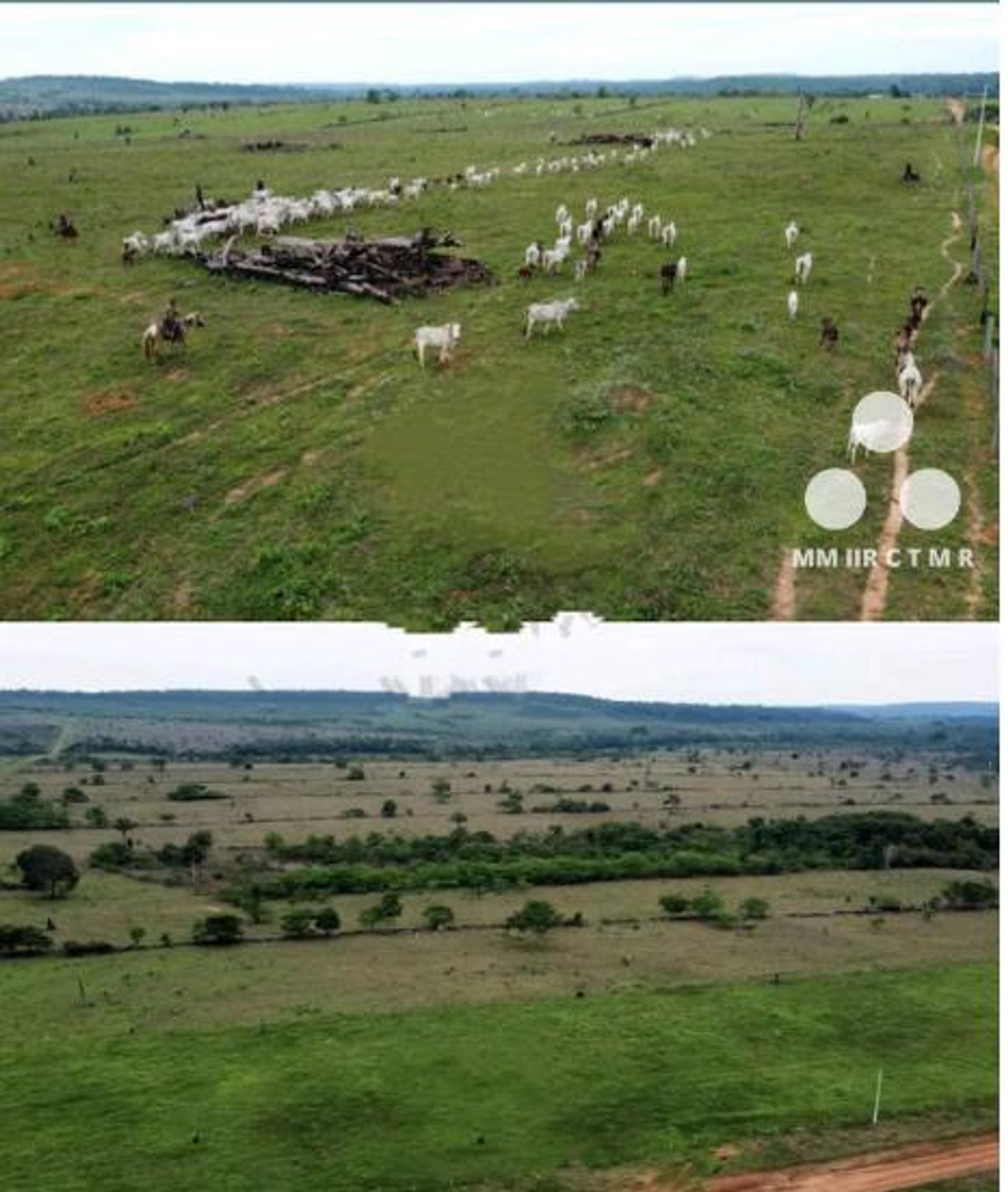 Lain di Porto dos Gauchos, Mato Grosso 11959696