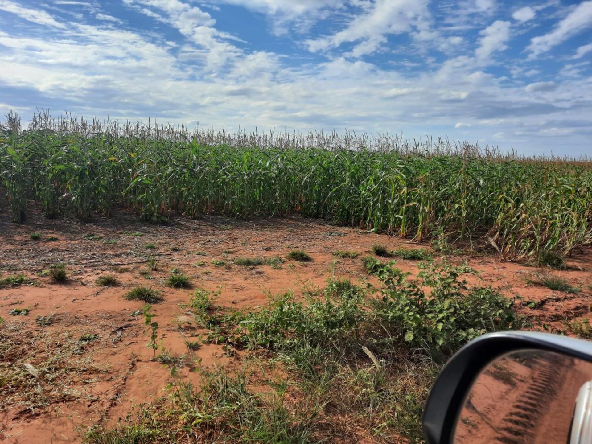 Autre dans , State of Mato Grosso 11959698