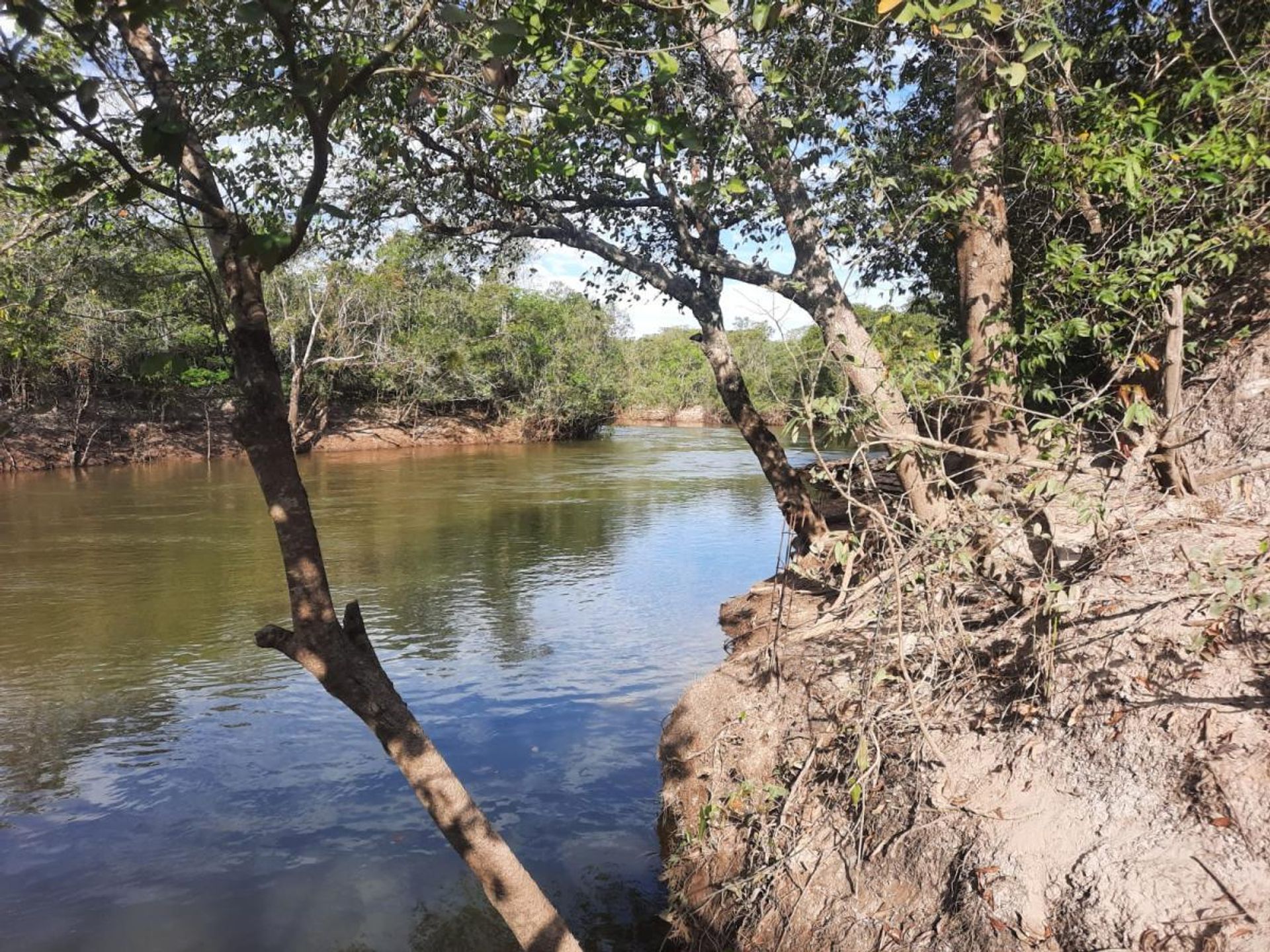 Autre dans , State of Mato Grosso 11959698