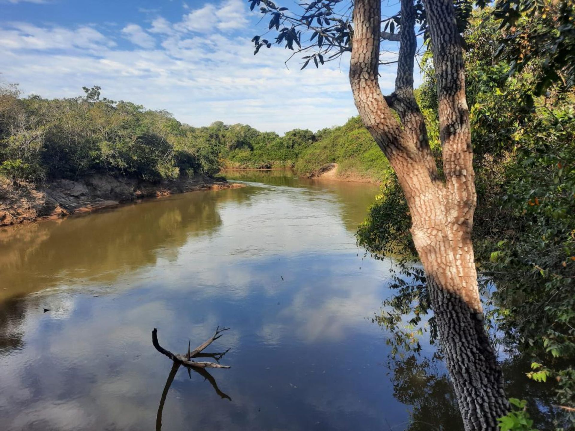 अन्य में , State of Mato Grosso 11959698