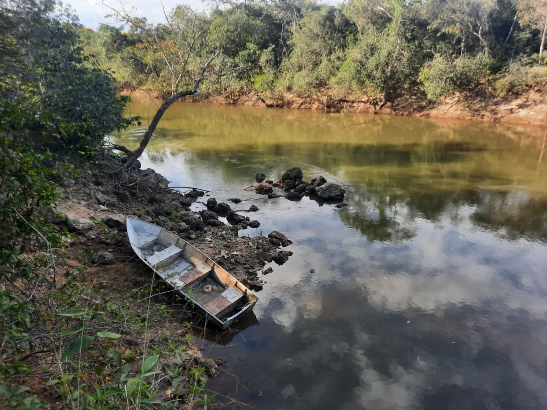 Outro no , State of Mato Grosso 11959698