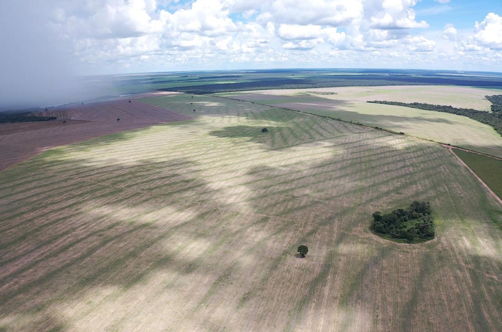 Outro no , State of Mato Grosso 11959698