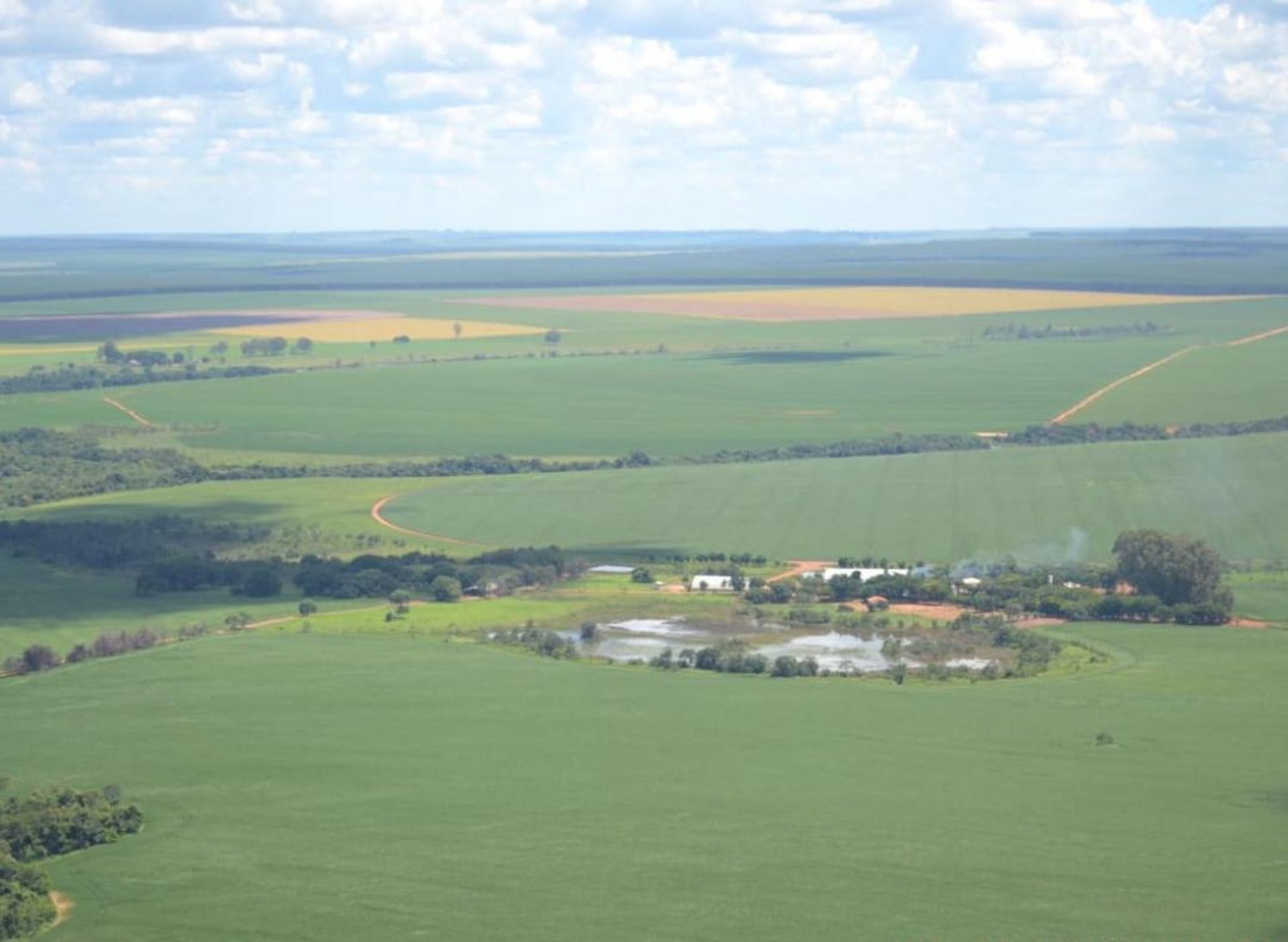 Altro nel Ipameri, Goias 11959699