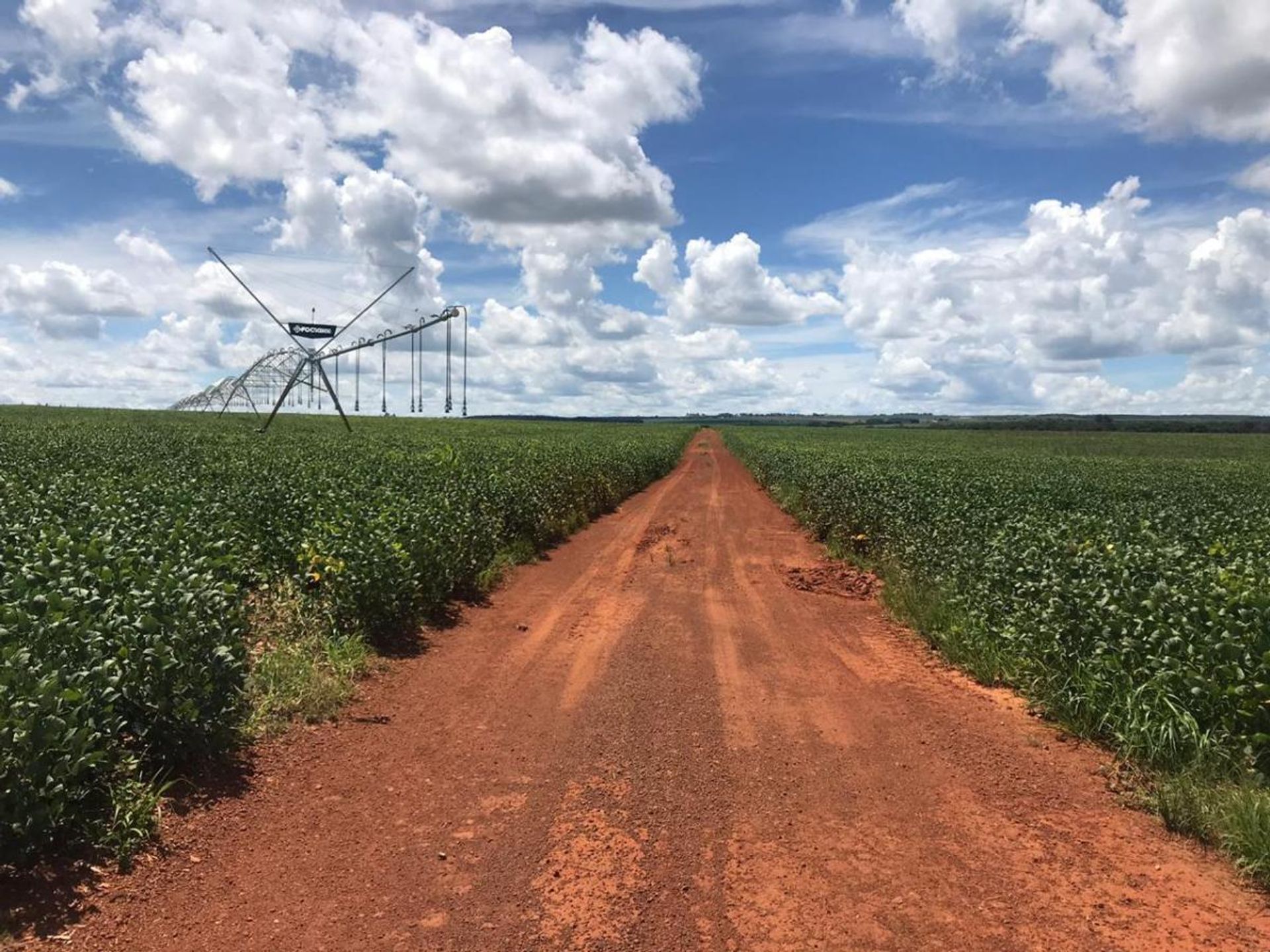 Otro en Ipameri, State of Goiás 11959699