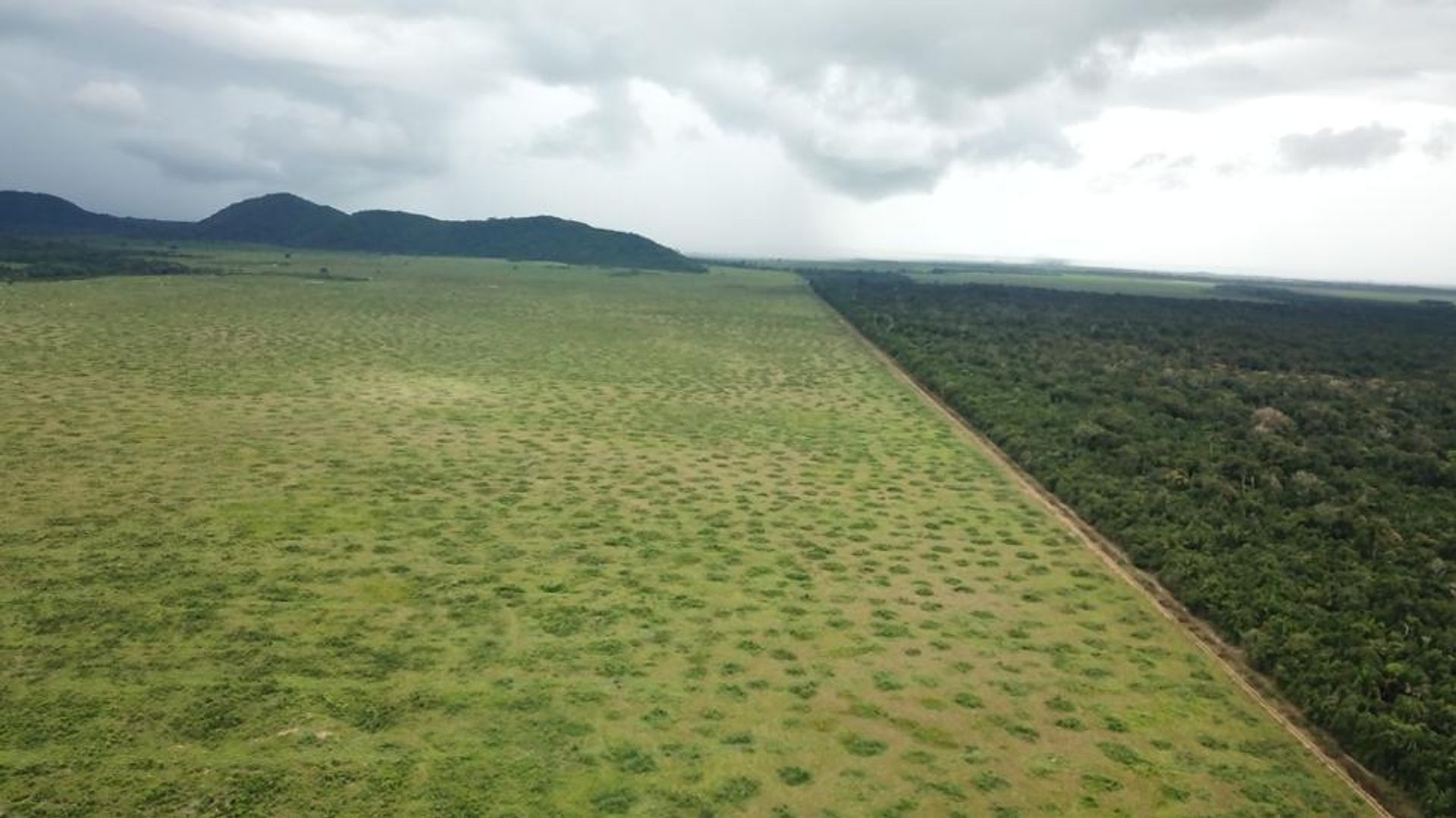 Autre dans , State of Mato Grosso 11959700